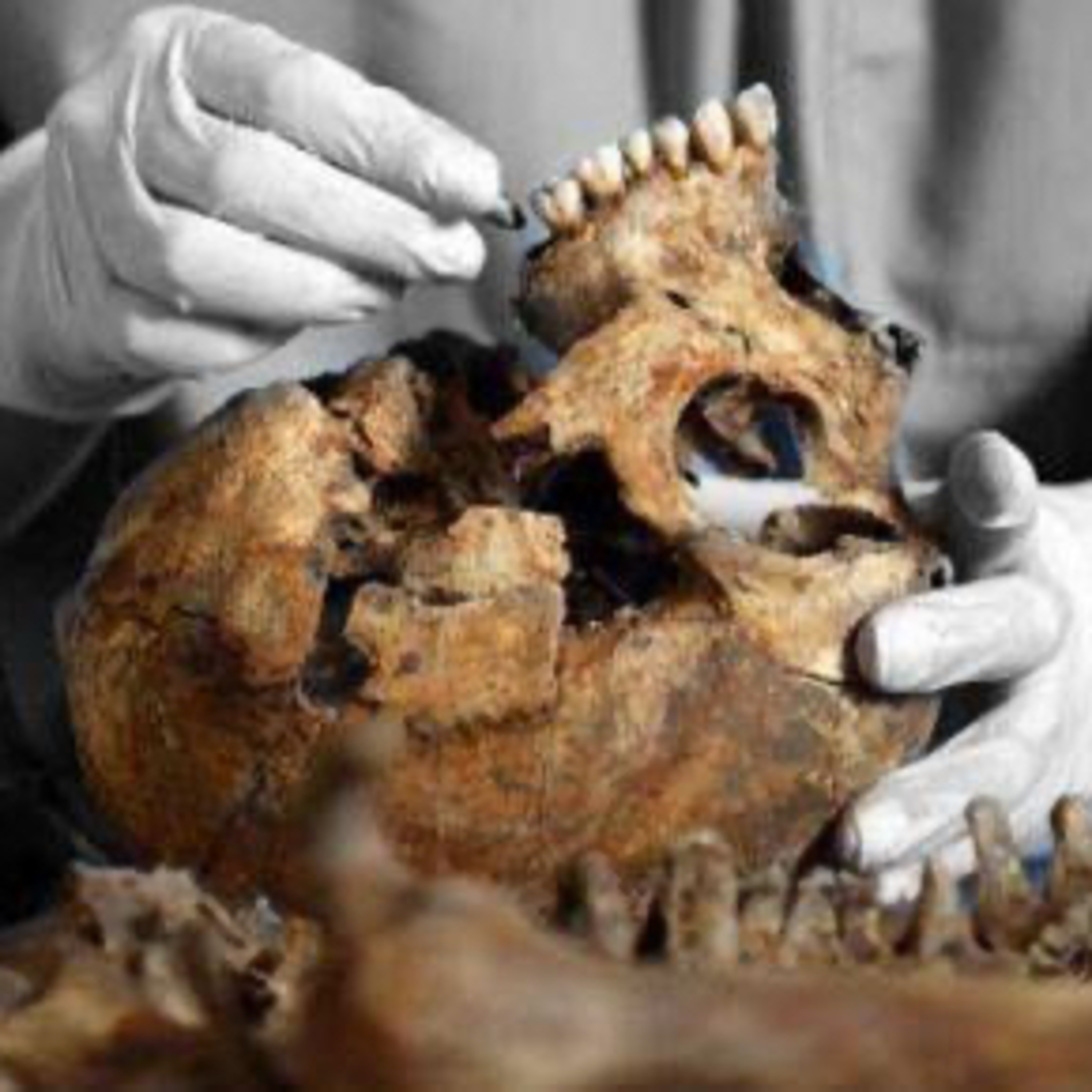 Enfermagem Forense