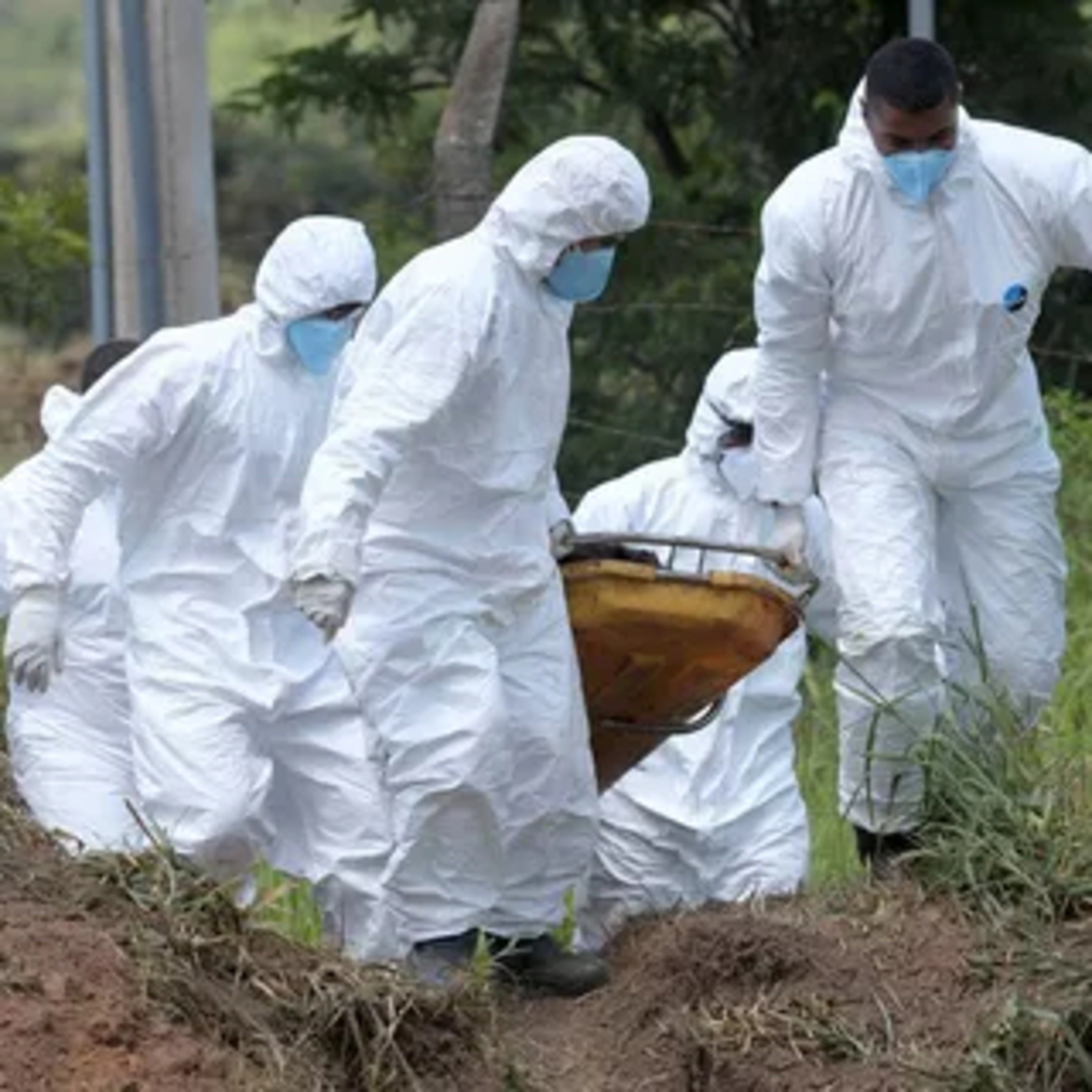 Enfermagem Forense