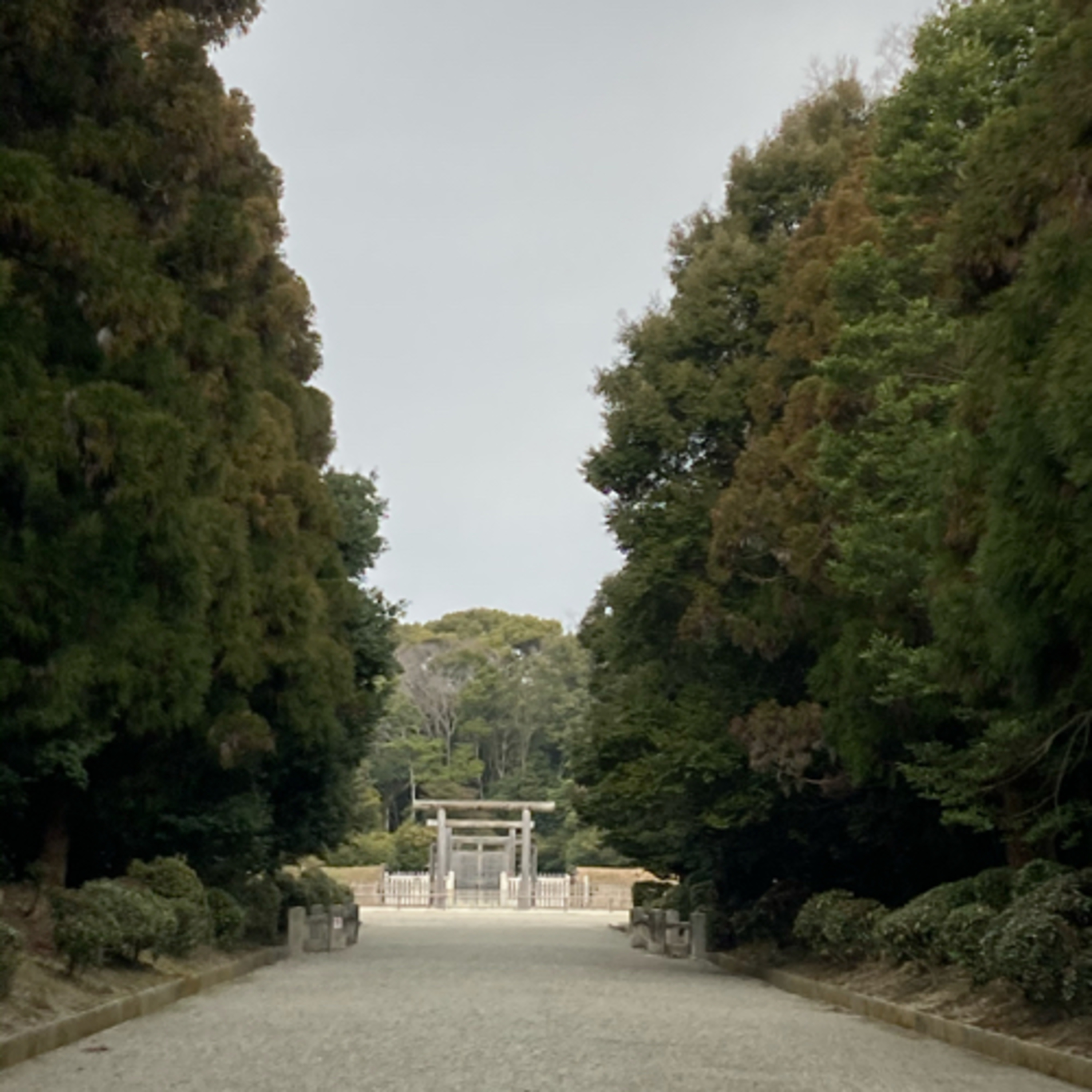 #180 「言葉の使い方使われ方を観る」「風の時代の表現」 episode artwork