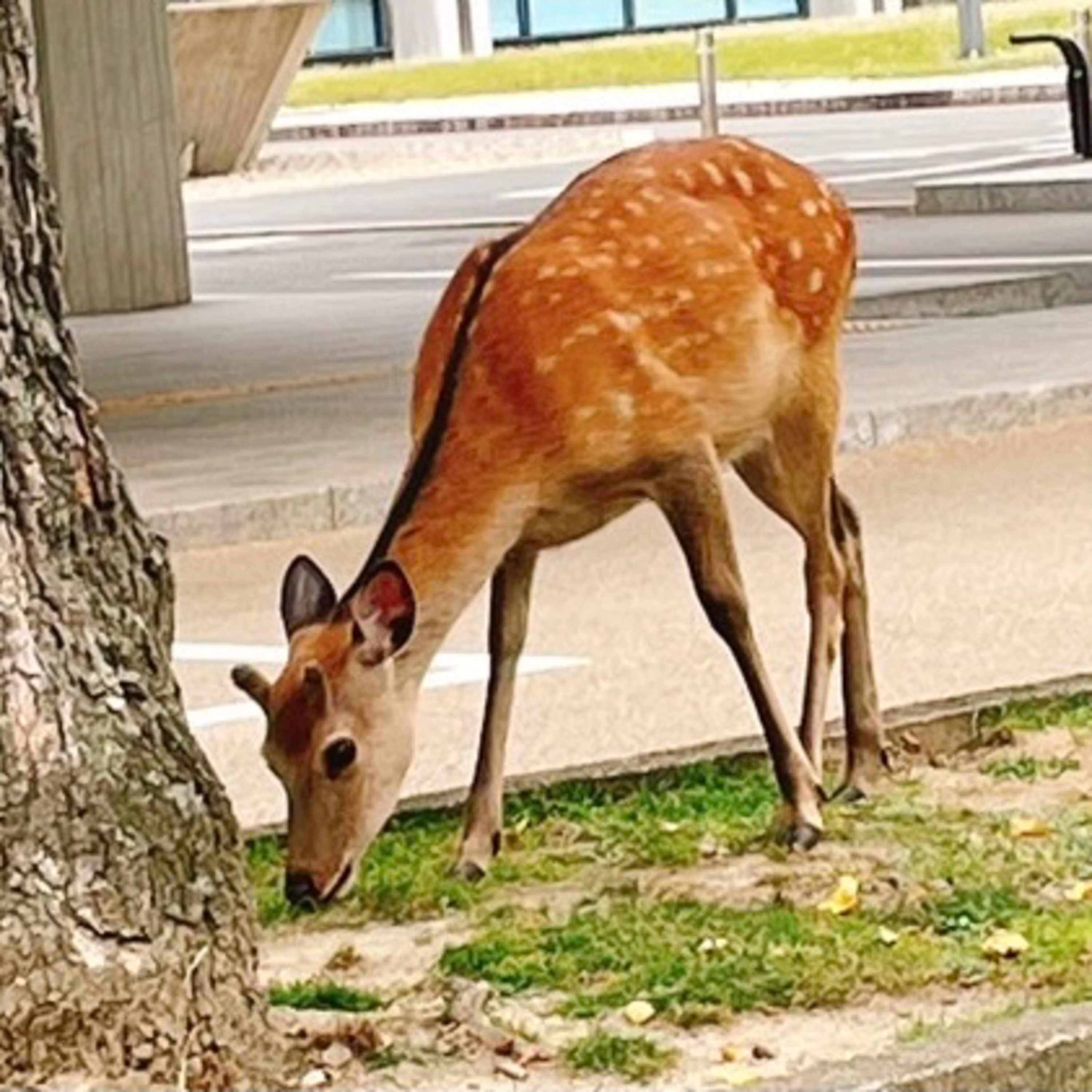 #411「すぐ見破って一回寝る」 episode artwork