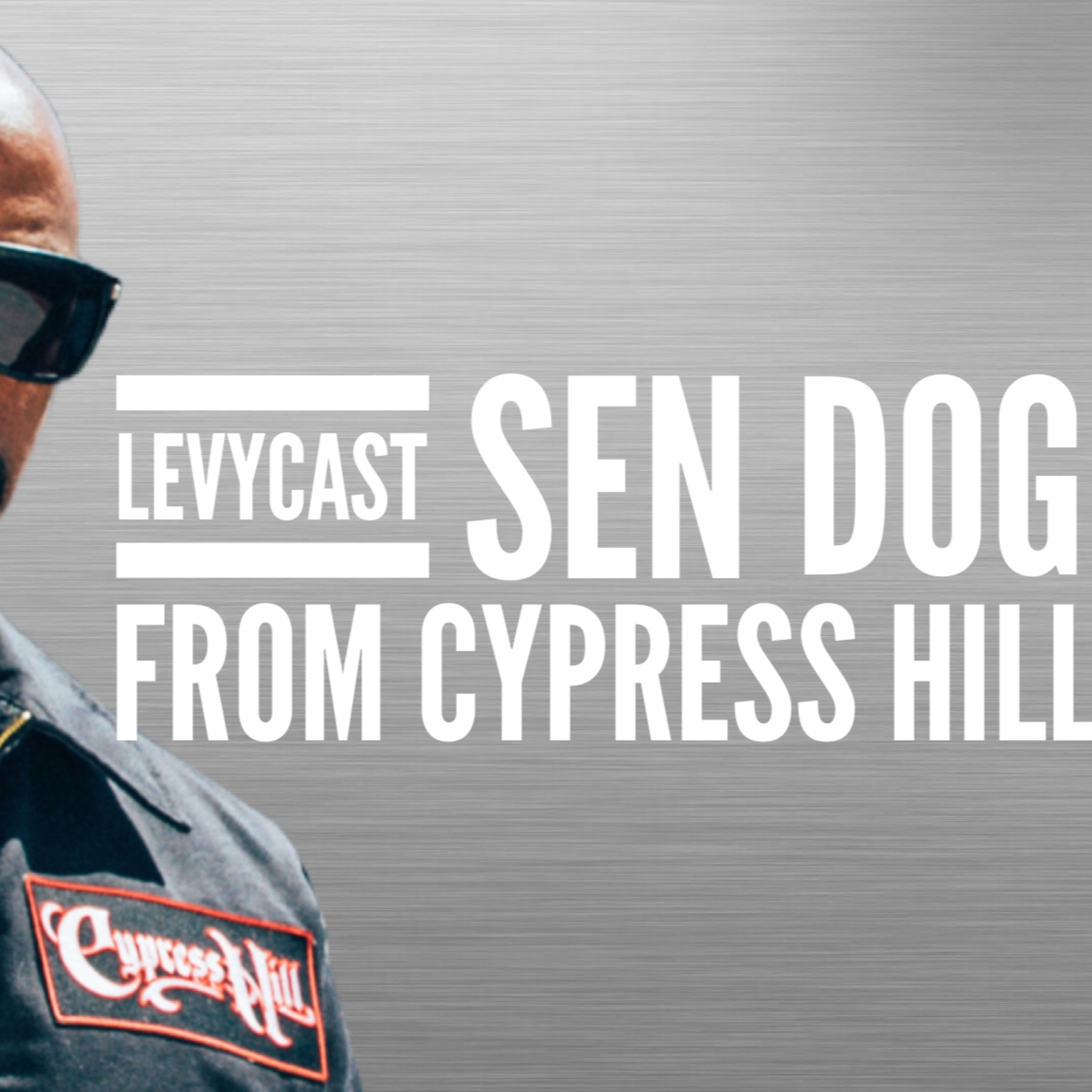 LEVYCAST