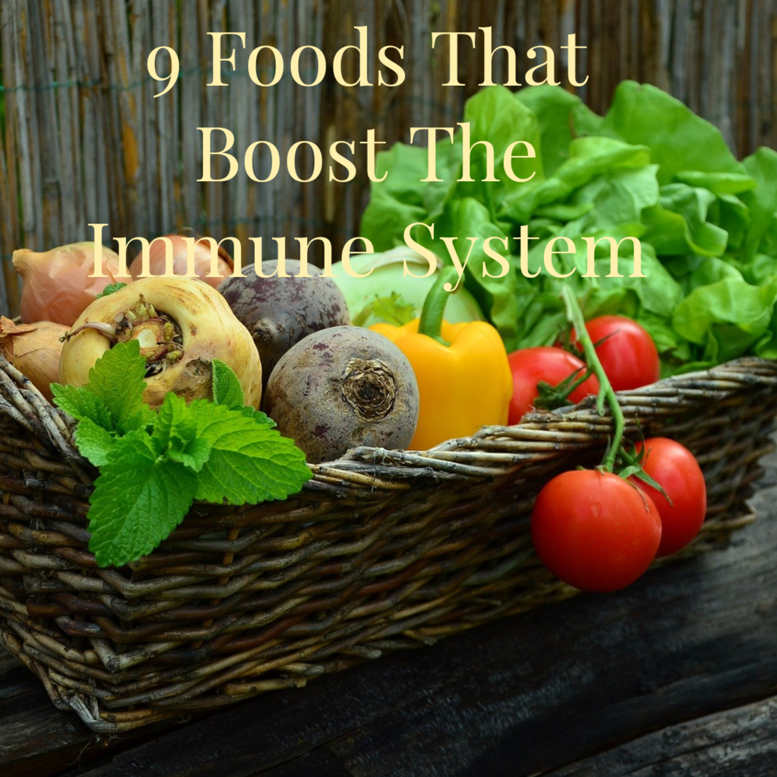 9 Immune System Booster  episode artwork