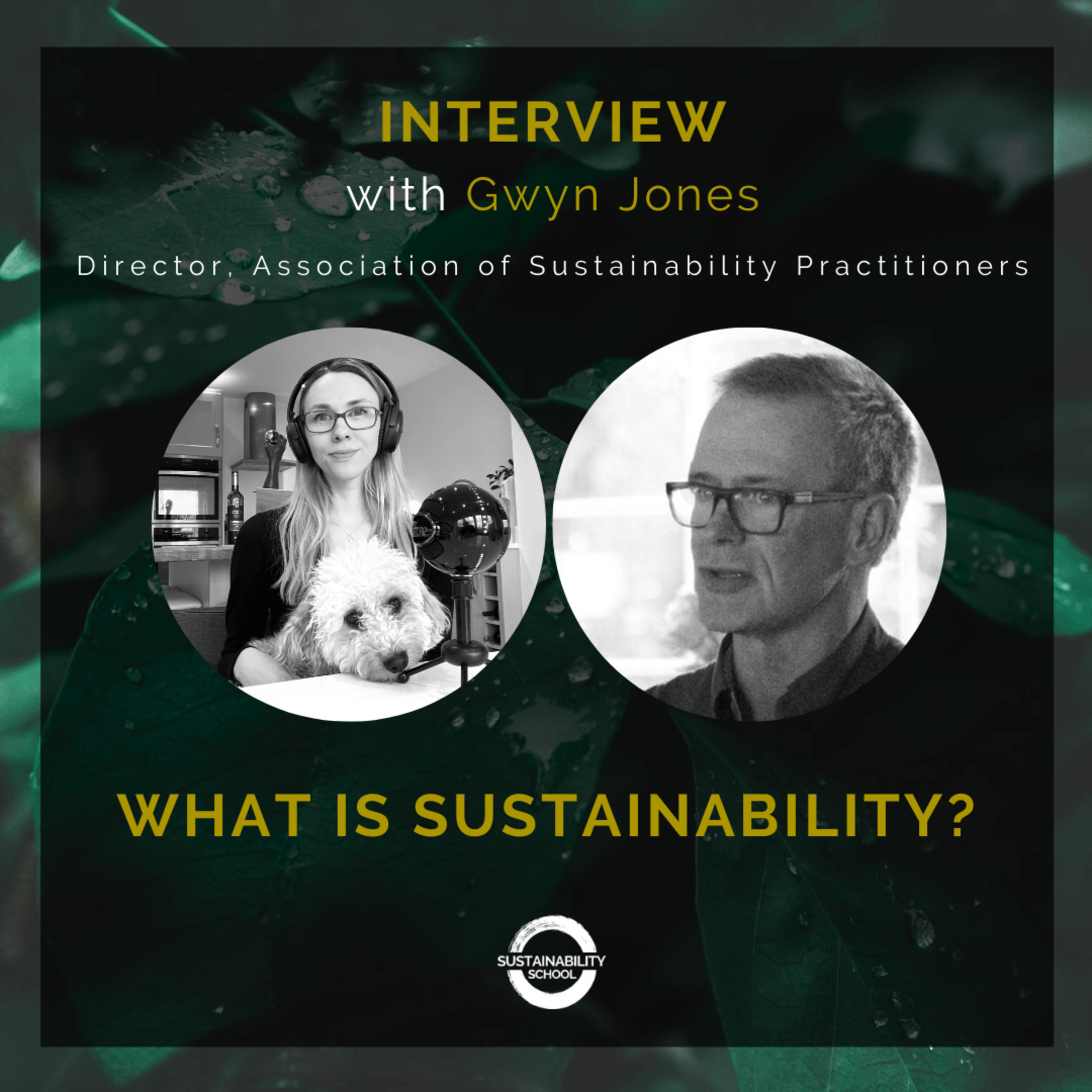 What is Sustainability?