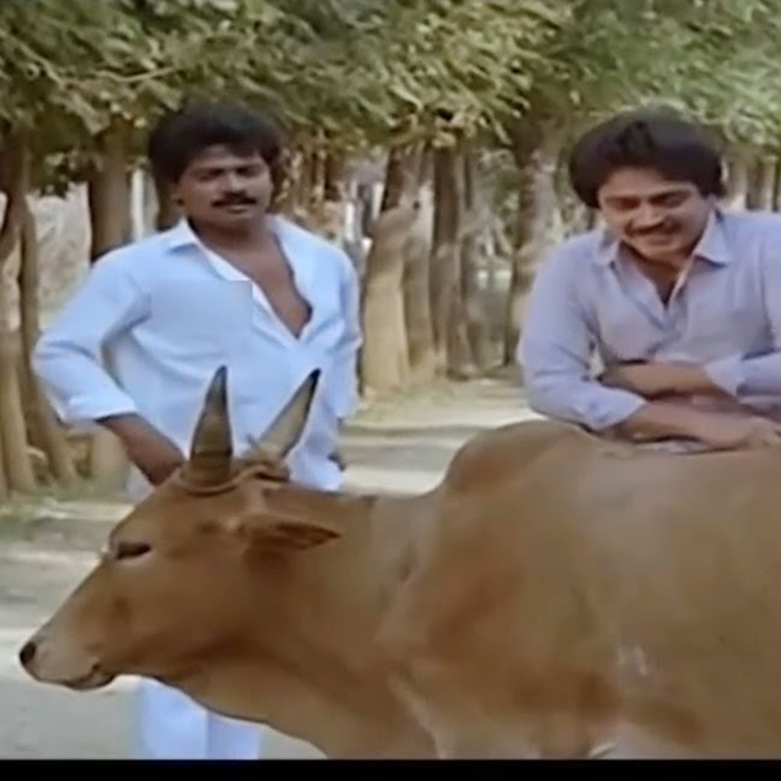 கைதட்டும், டெல்லி எருமையும் episode artwork