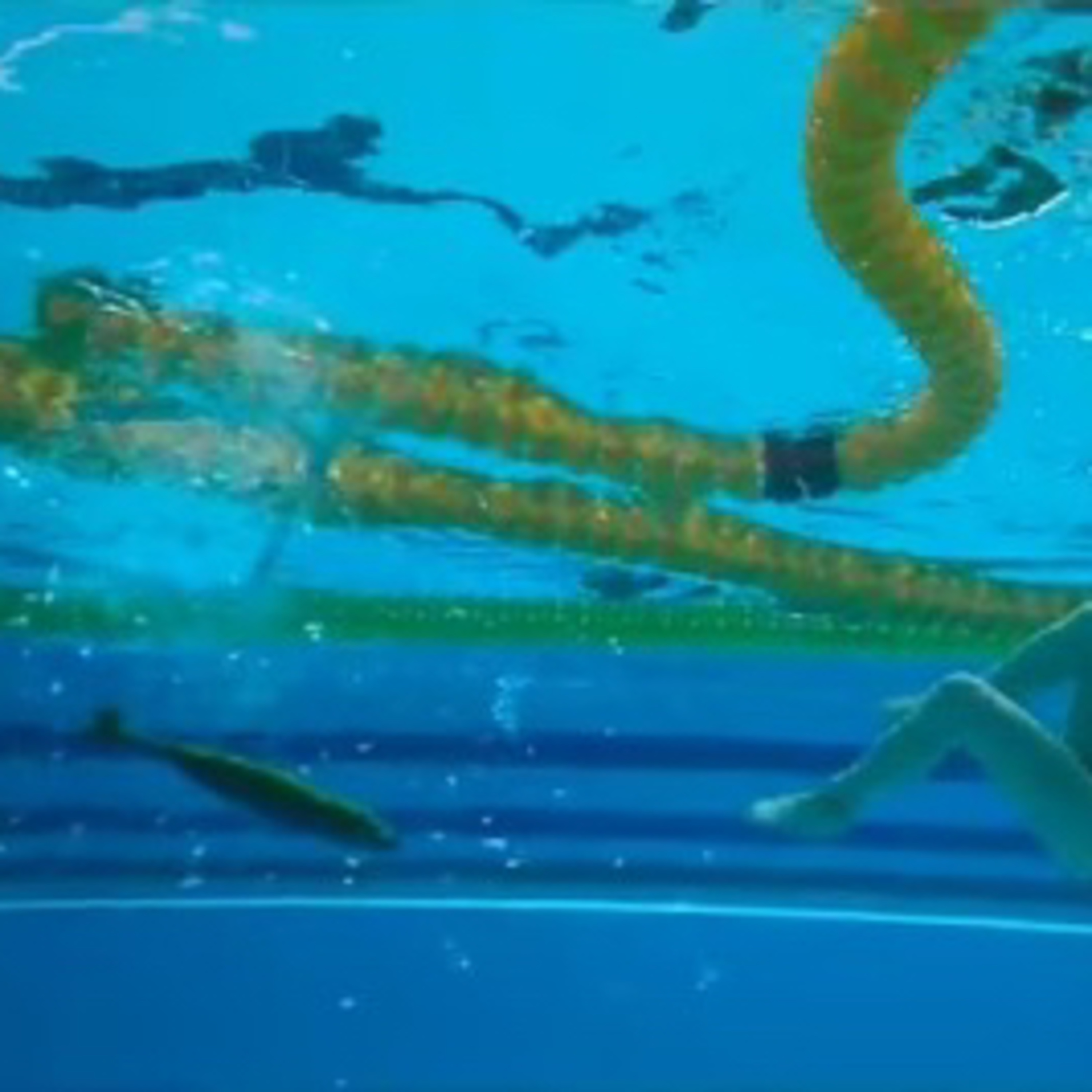 உலக சினிமா விமர்சனம் : Swimmers -- தமிழர்கள் கொண்டாட வேண்டிய திரைப்படம் episode artwork