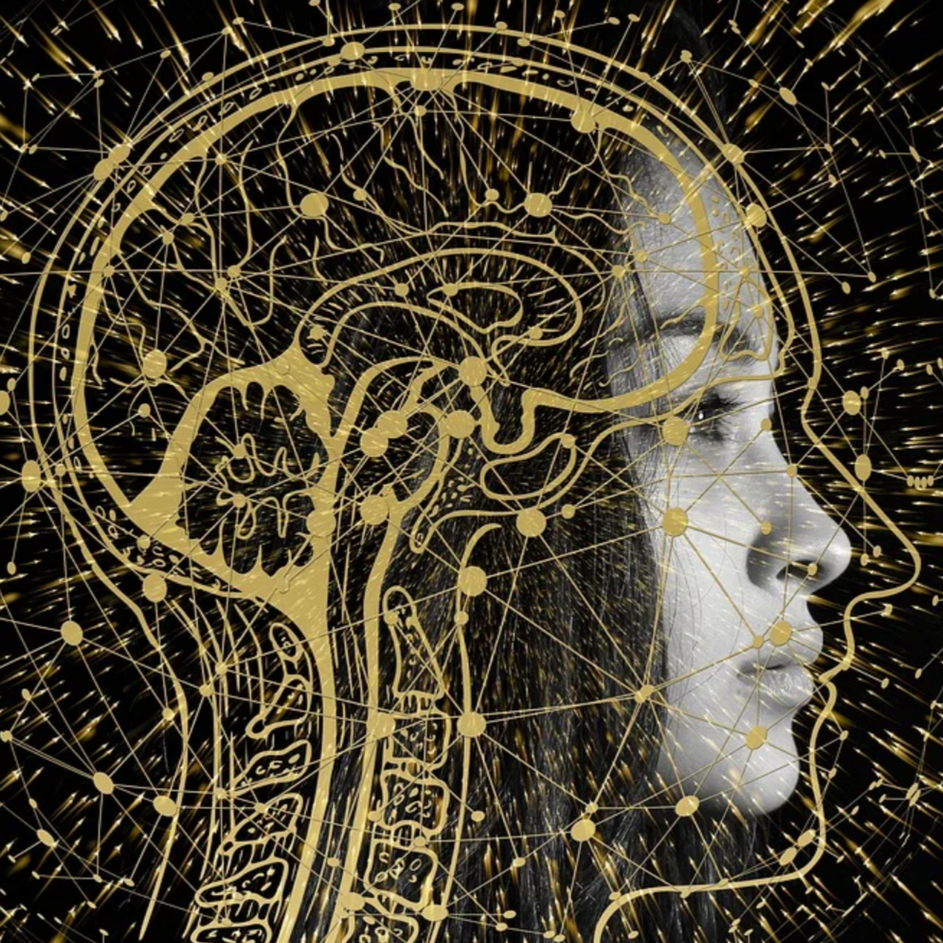 Il computer quantistico episode artwork