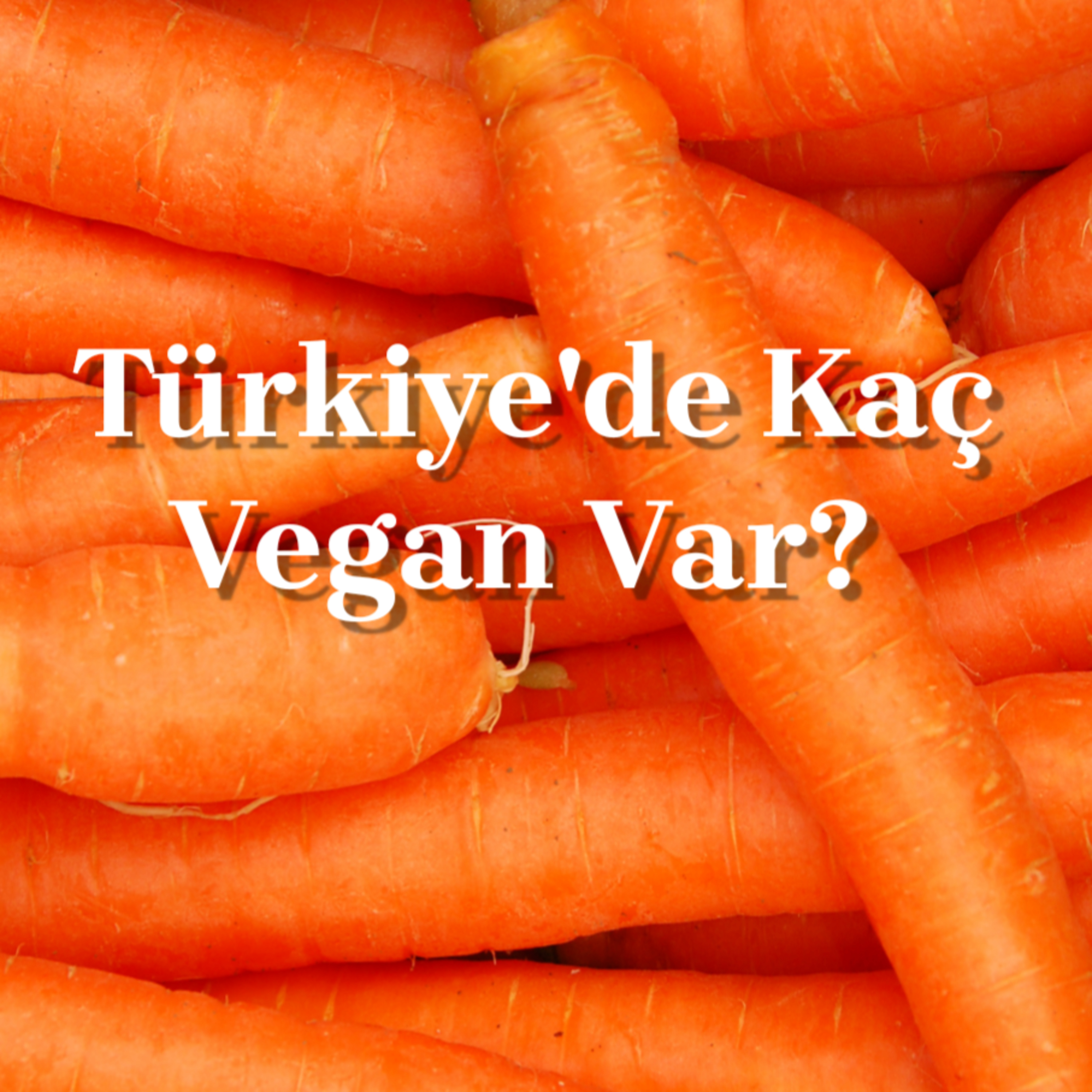 Duyar Kası