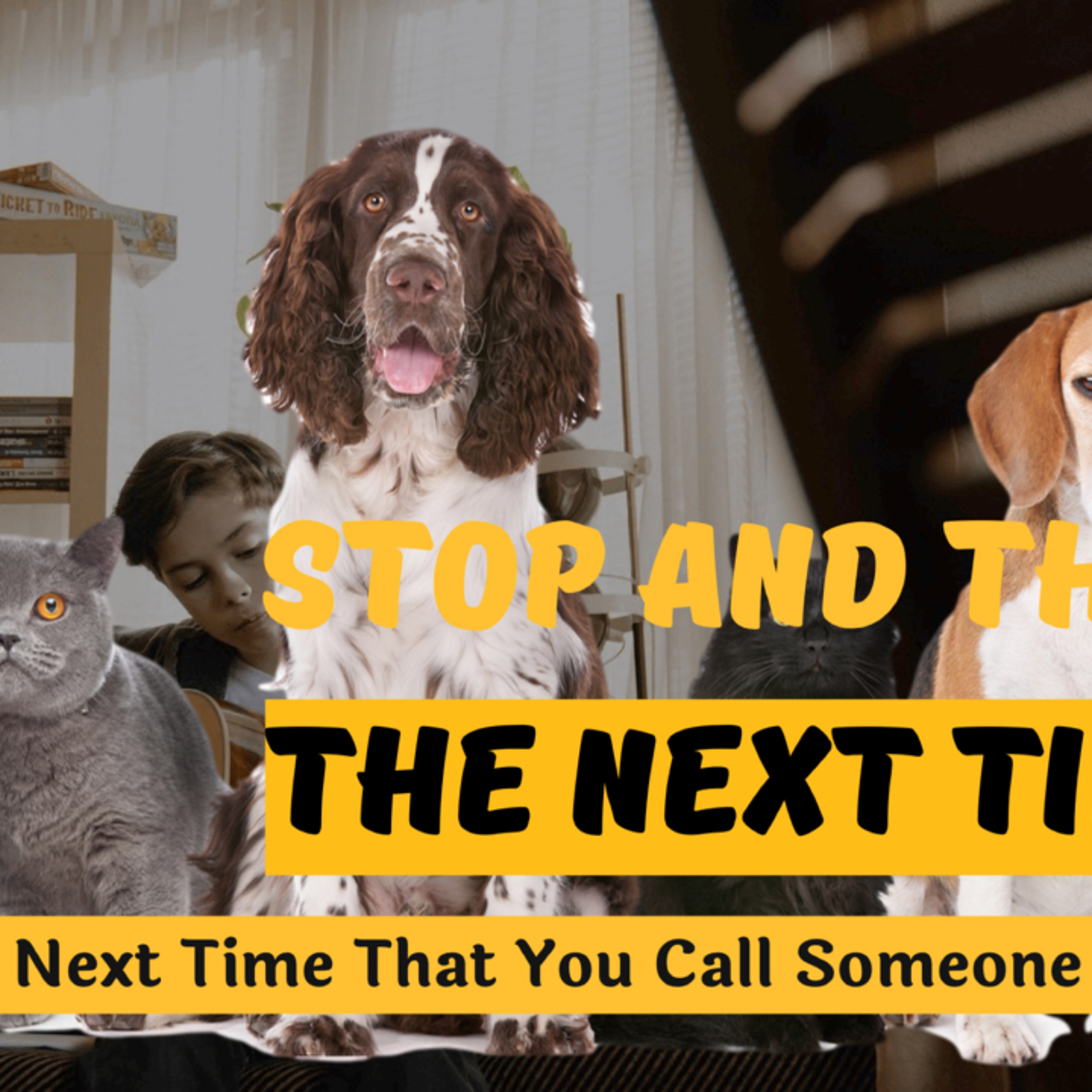 Stop and Think The Next Time That You Call Someone Animal! episode artwork