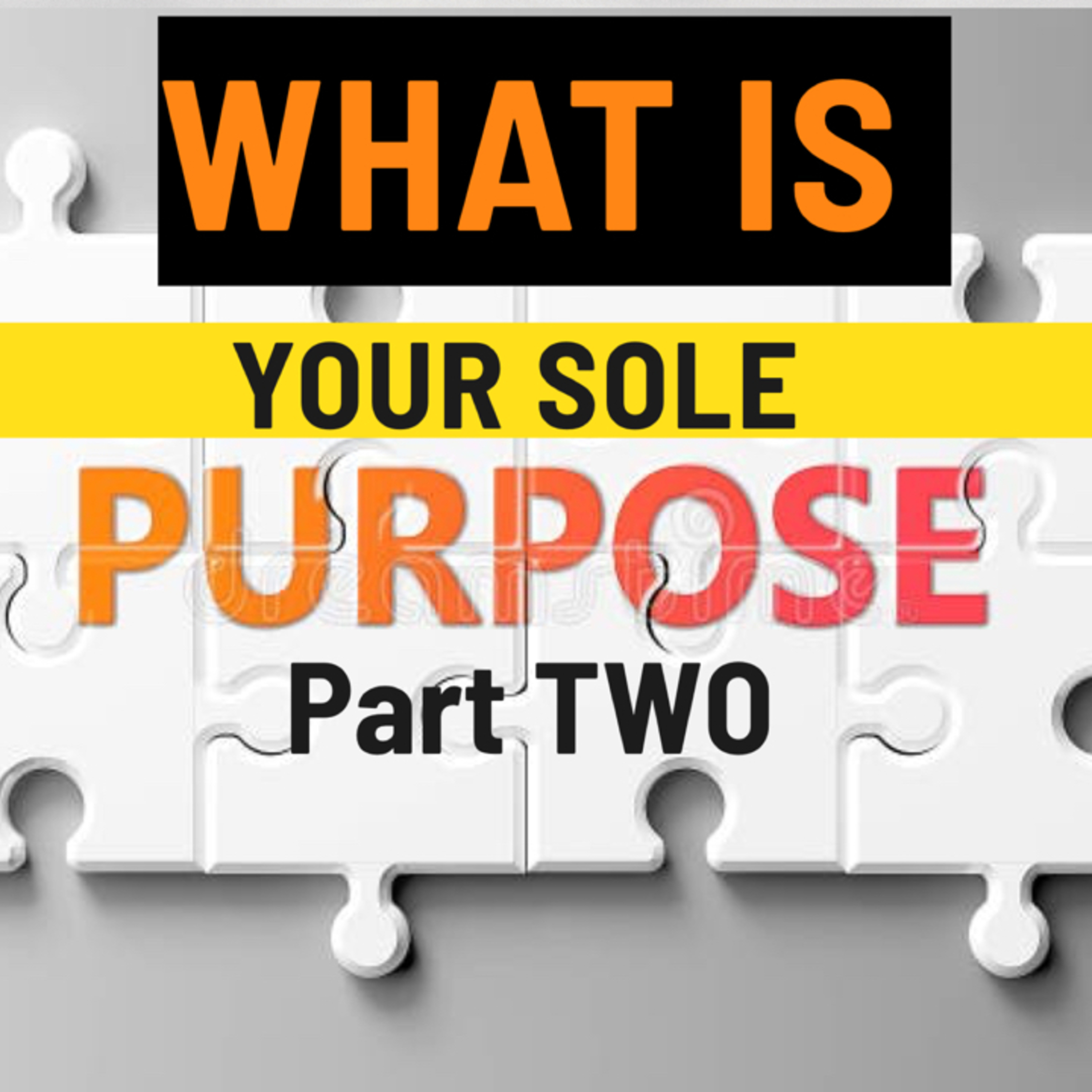 What Is Your Sole Purpose? Part 2 episode artwork