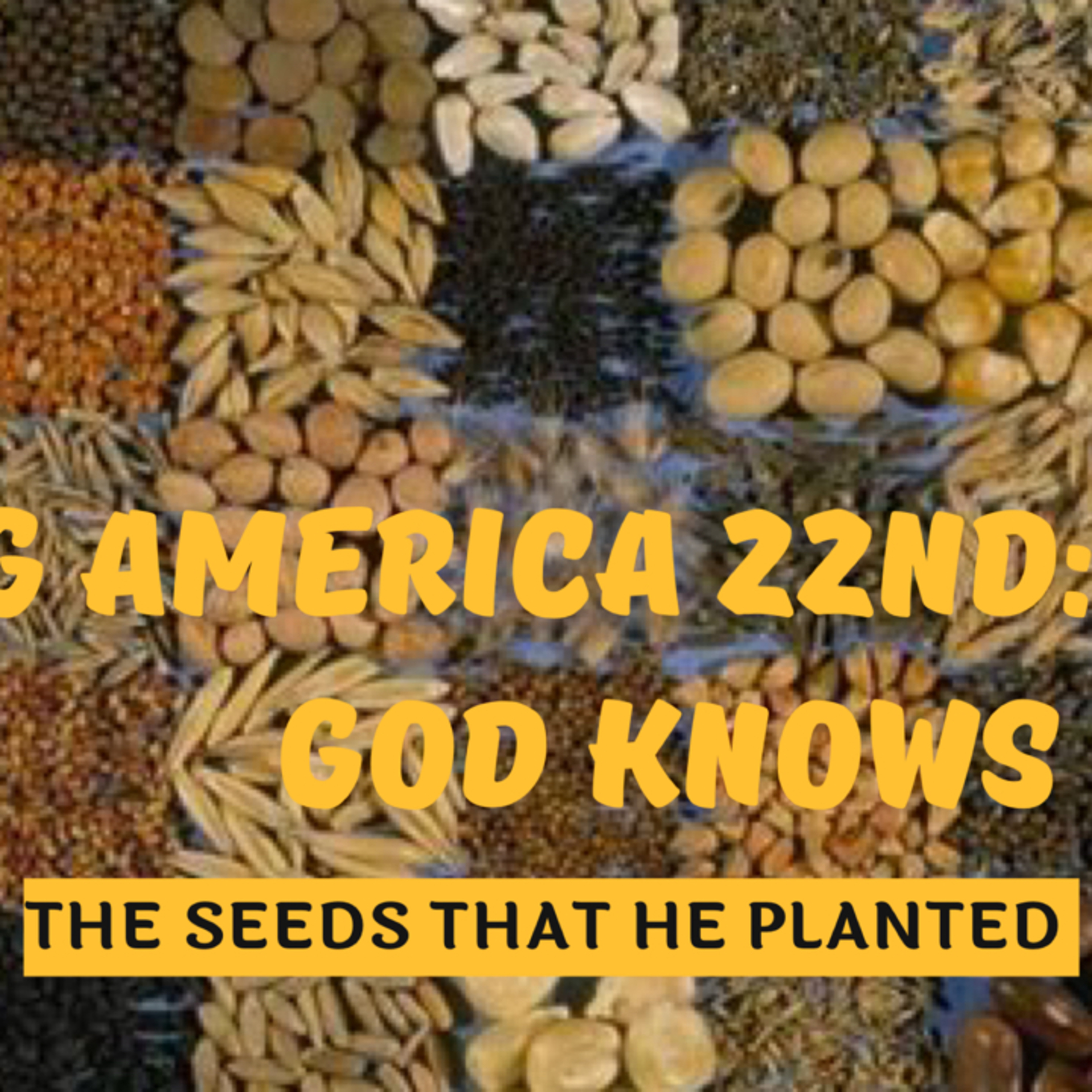 Covering America 22nd Service:God Knows The Seeds That He Planted  episode artwork