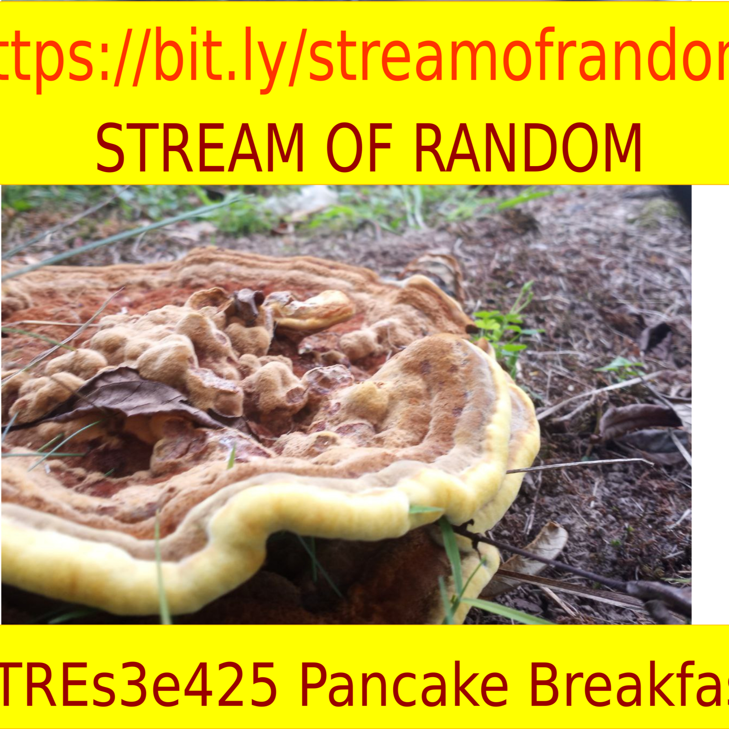 Stream of Random