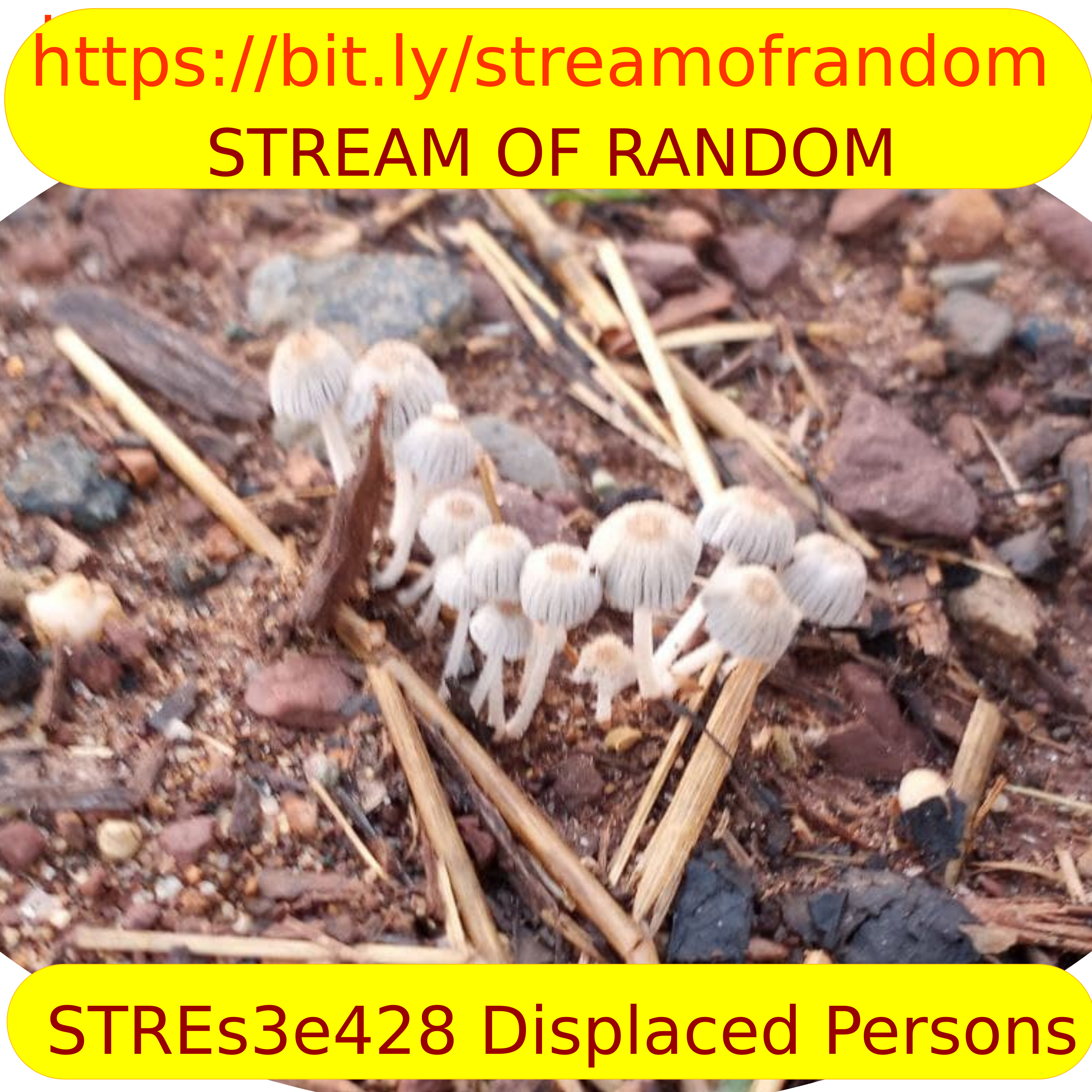 STREs3e428 Displaced Persons episode artwork