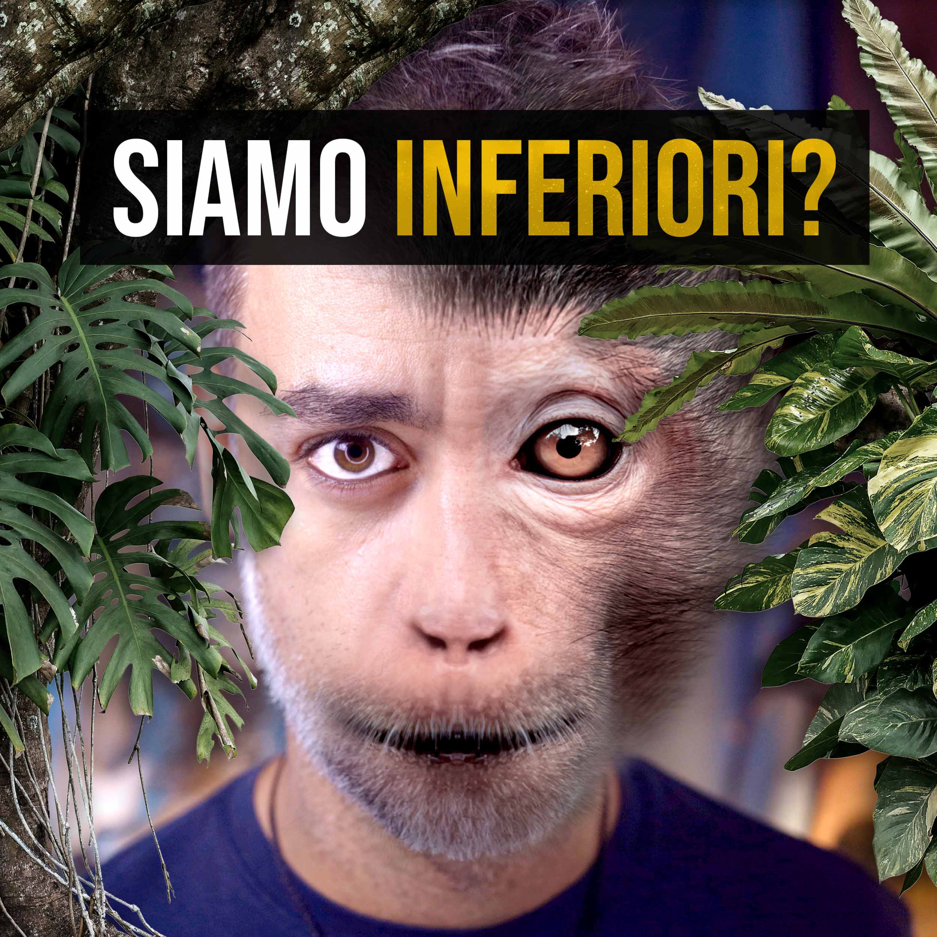 L'inferiorità dell’essere umano (Quanto siamo diversi dal regno animale?) episode artwork
