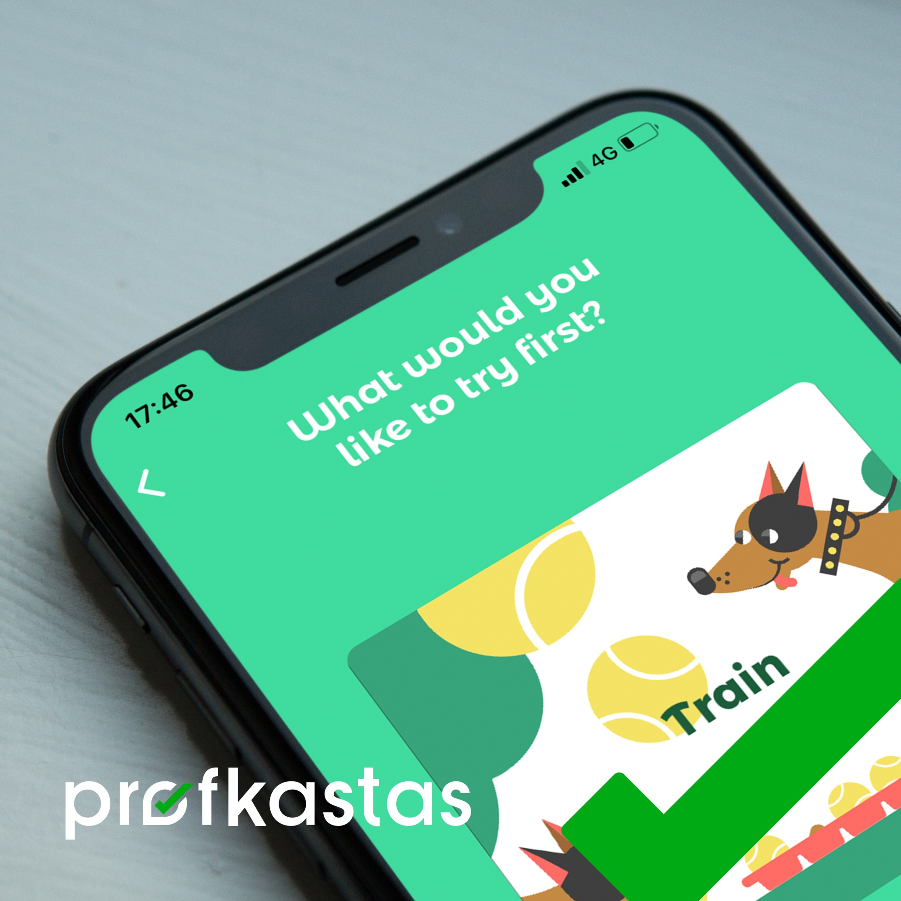 Profkastas