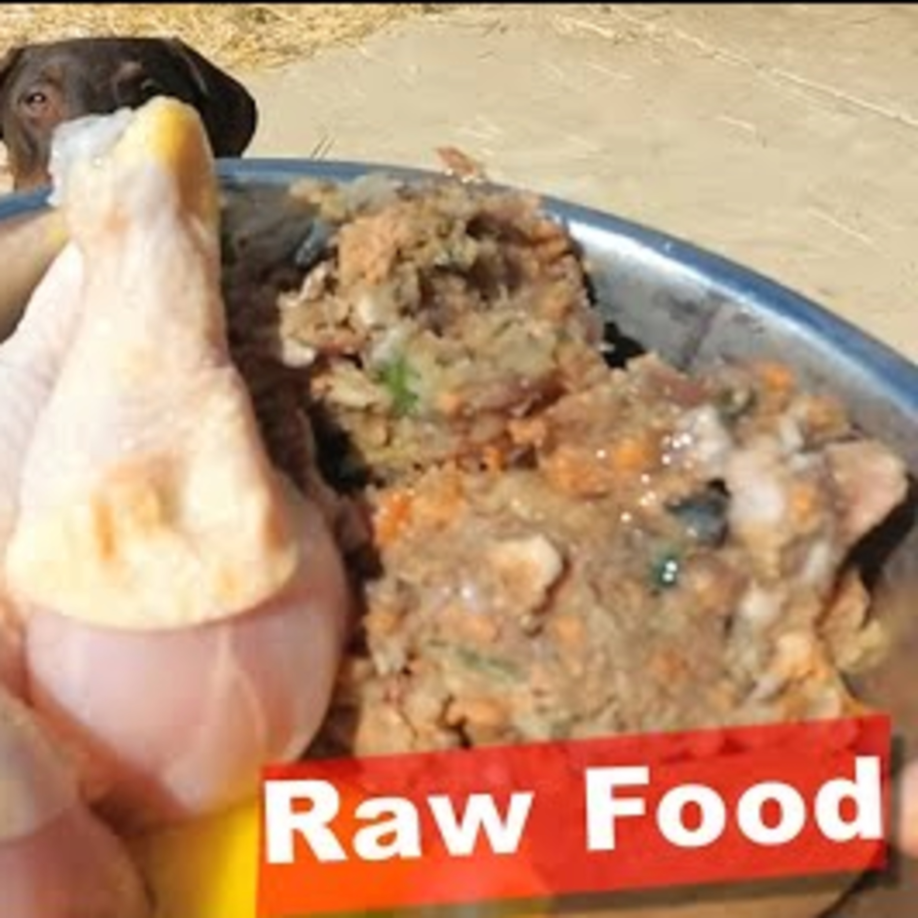 ASMR Dogs Eating Raw Food #1