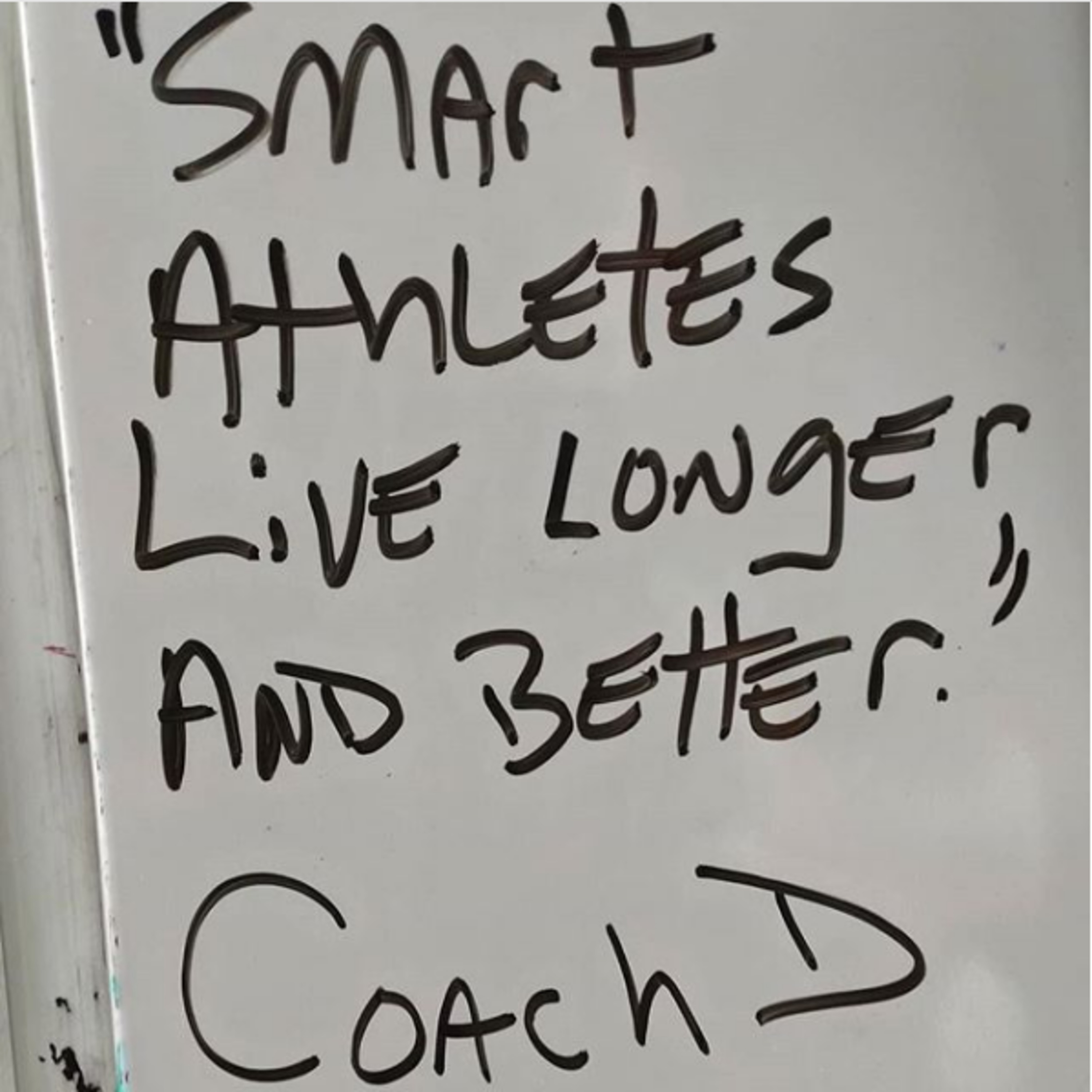 AirGym Digest - All Things Fitness
