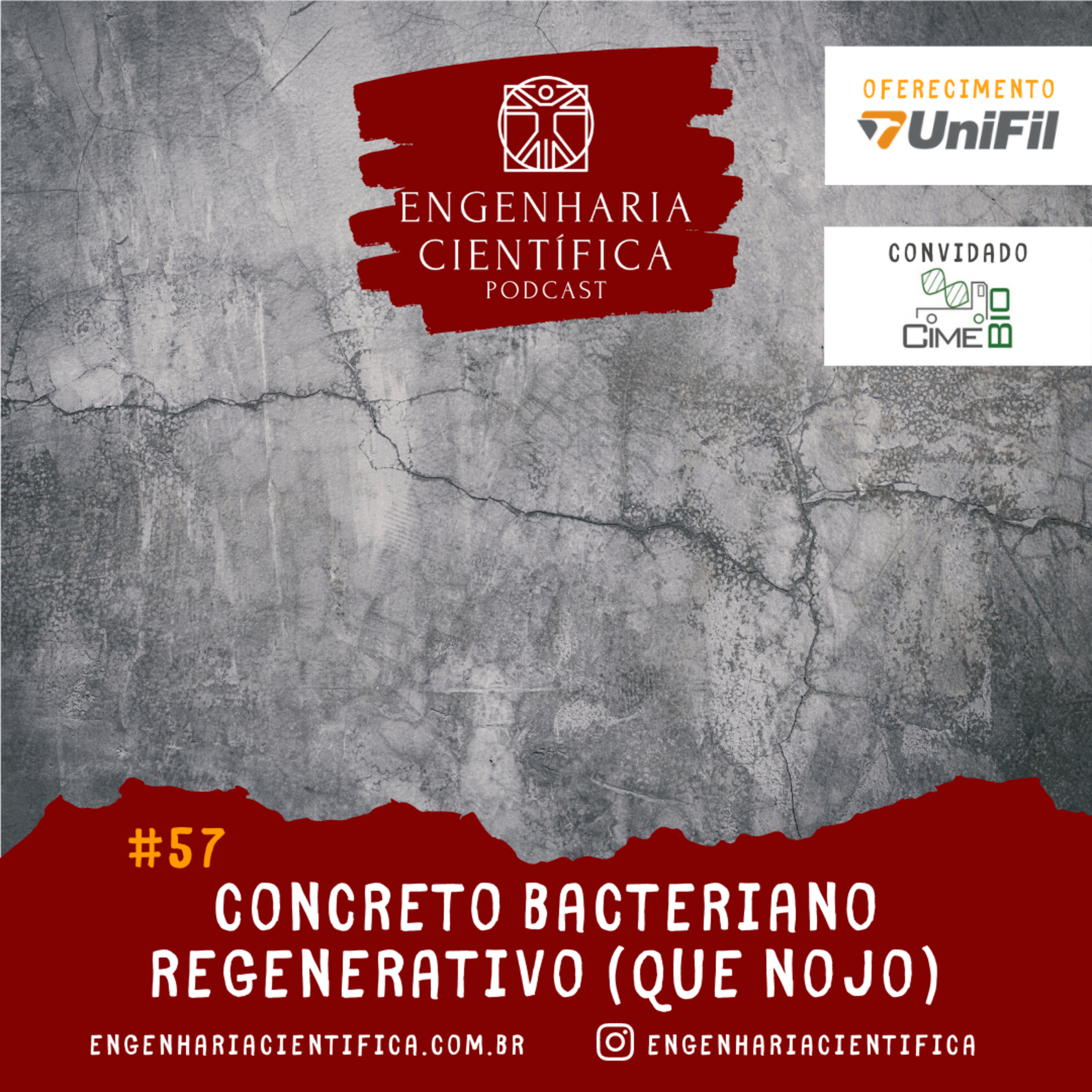 Engenharia Científica