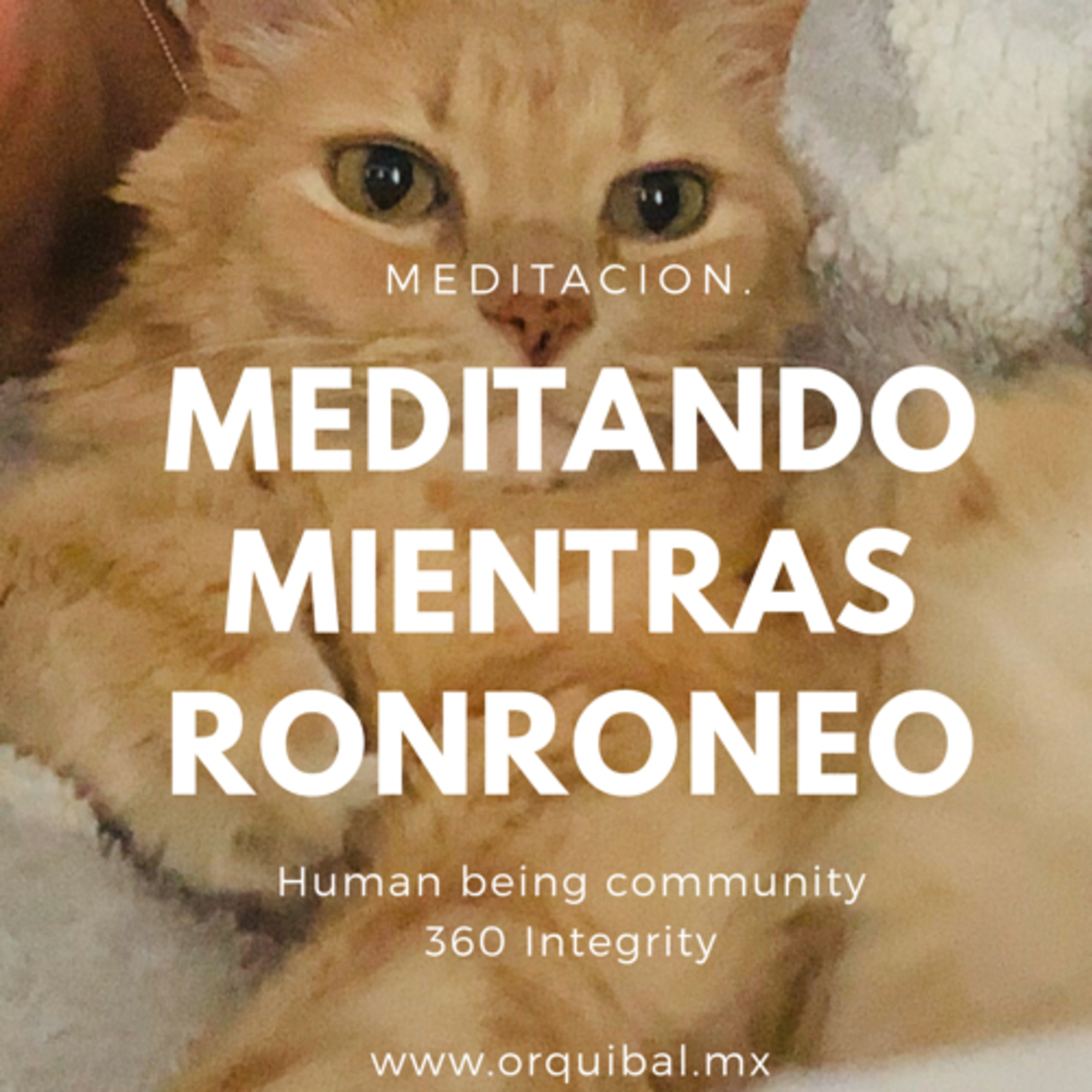 Corazon multidimensional