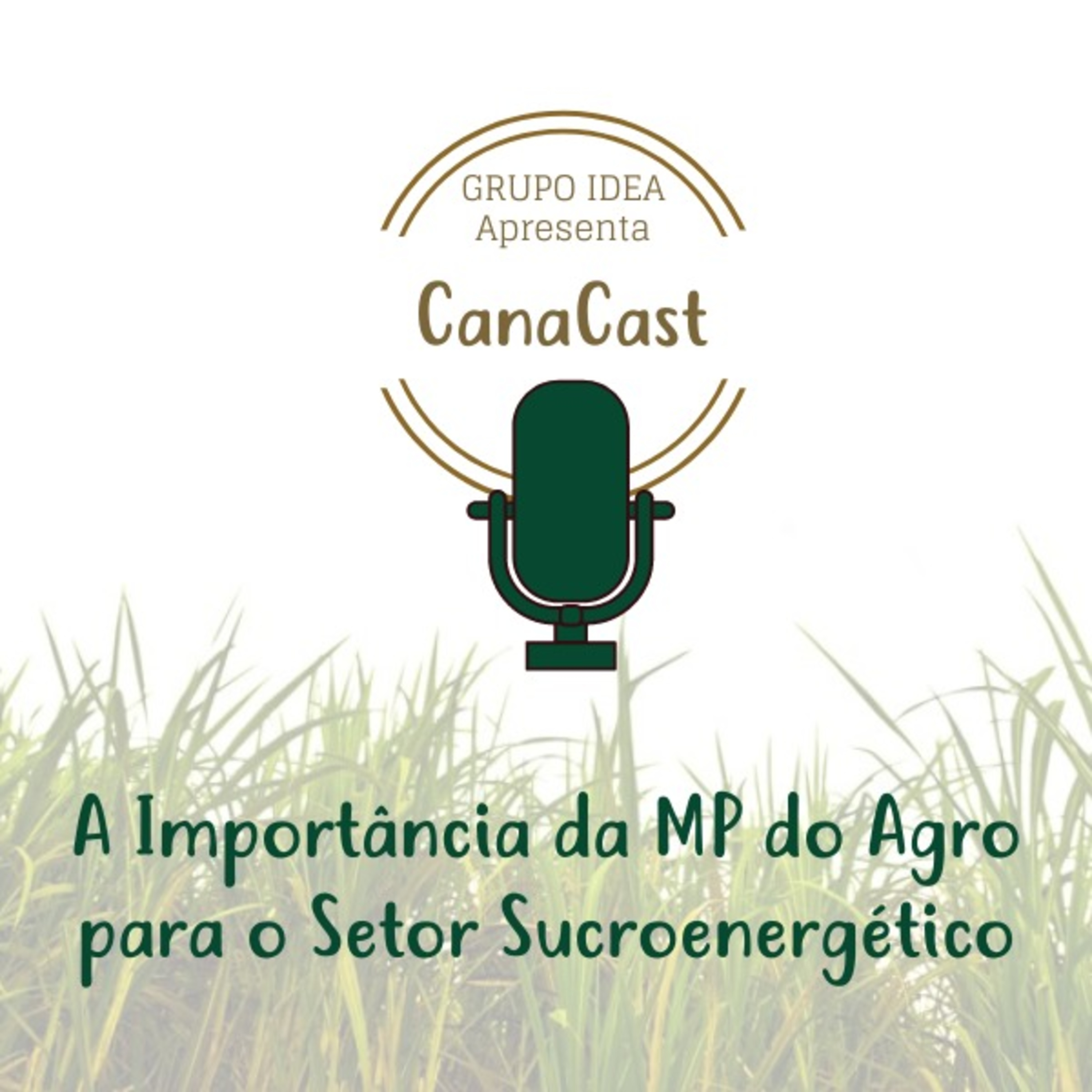 A IMPORTANCIA DO MP DO AGRO PARA O SETOR SUCROENERGÉTICO episode artwork