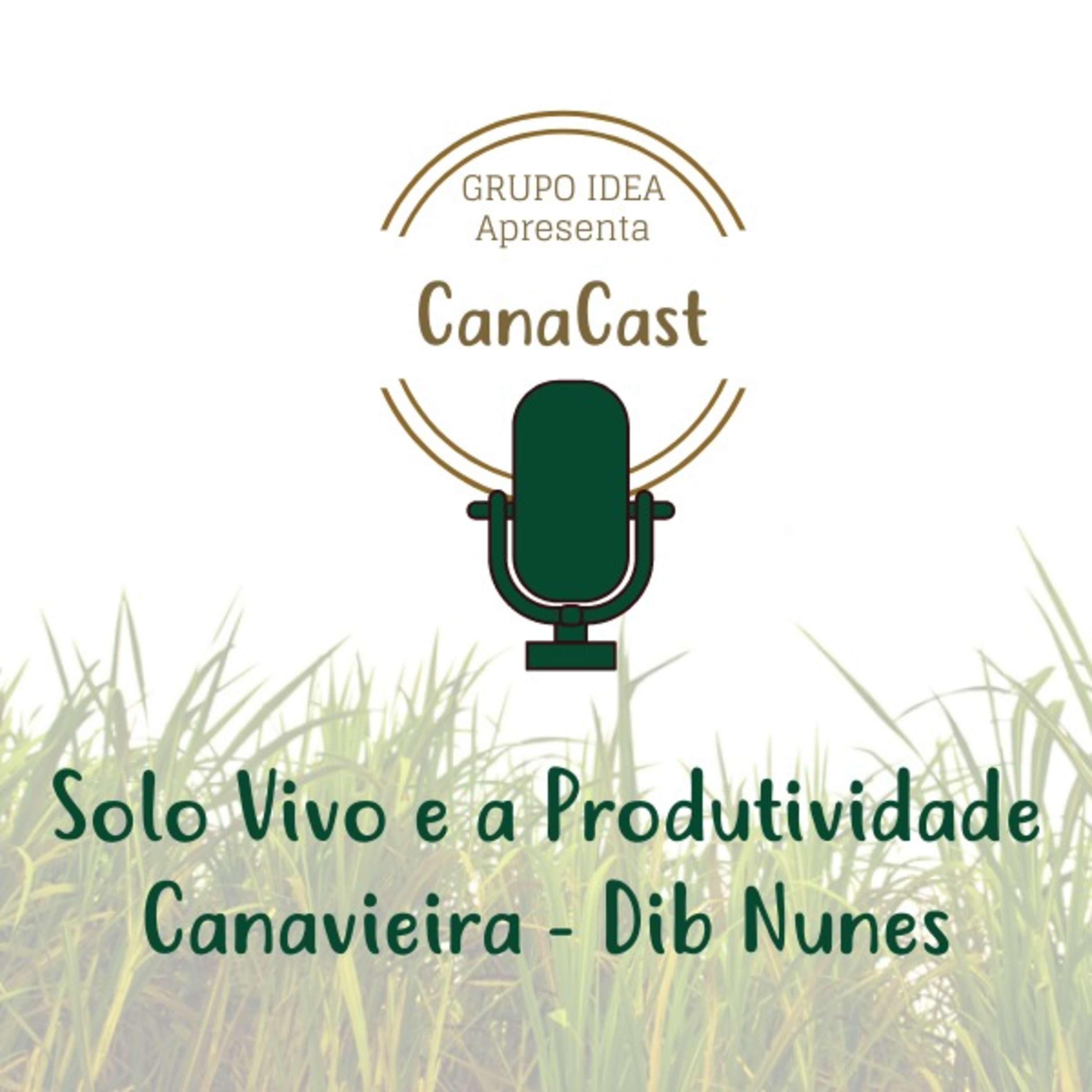 SOLO VIVO COM DIB NUNES episode artwork