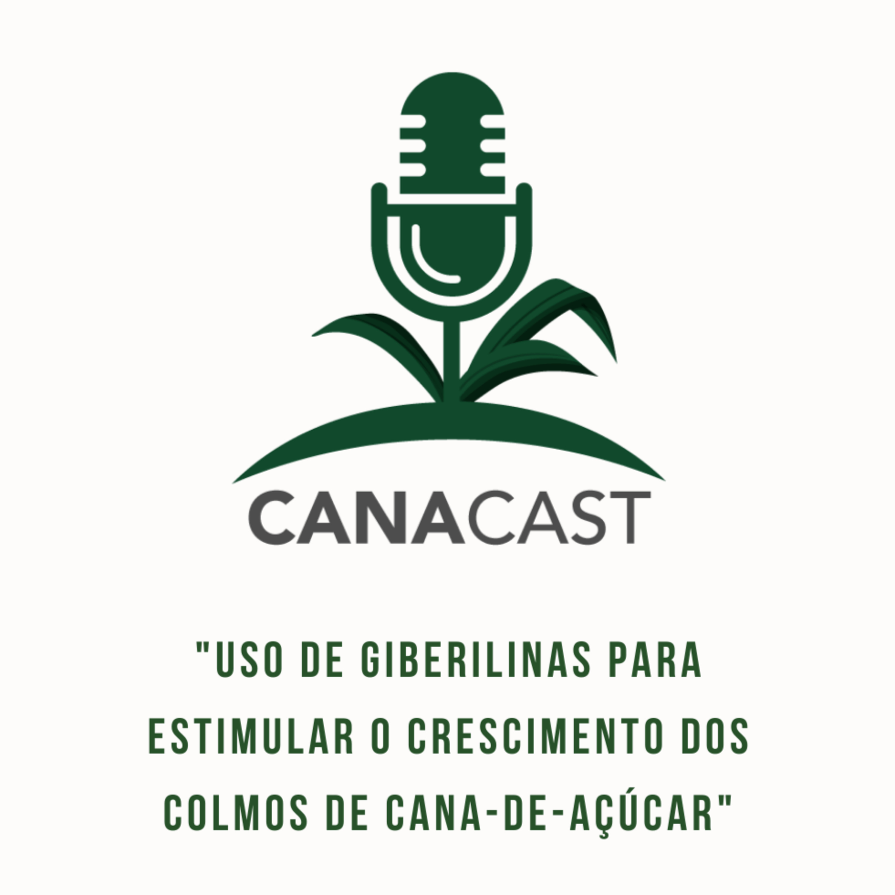 USO DE GIBERILINAS PARA ESTIMULAR O CRESCIMENTO DOS COLMOS DE CANA-DE-AÇÚCAR episode artwork