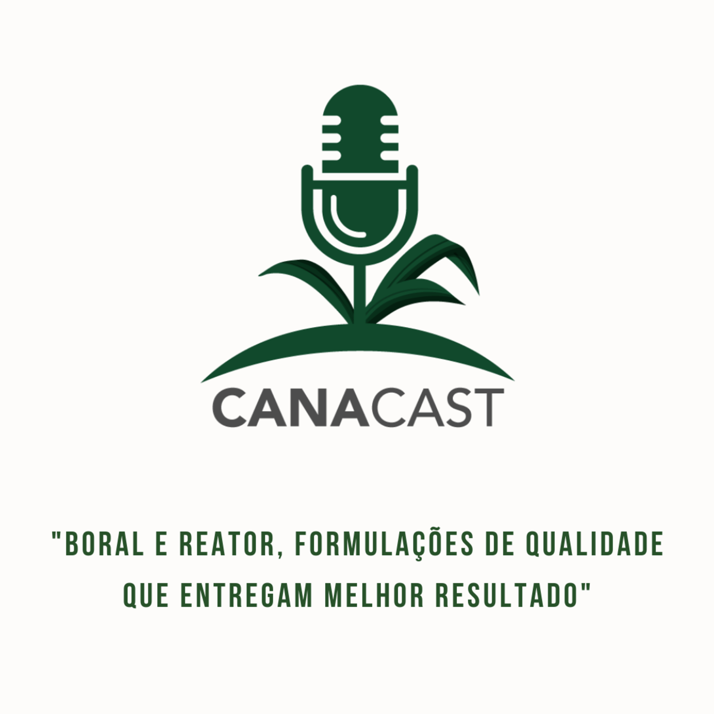 BORAL E REATOR, FORMULAÇÕES DE QUALIDADE QUE ENTREGAM MELHOR RESULTADO  episode artwork