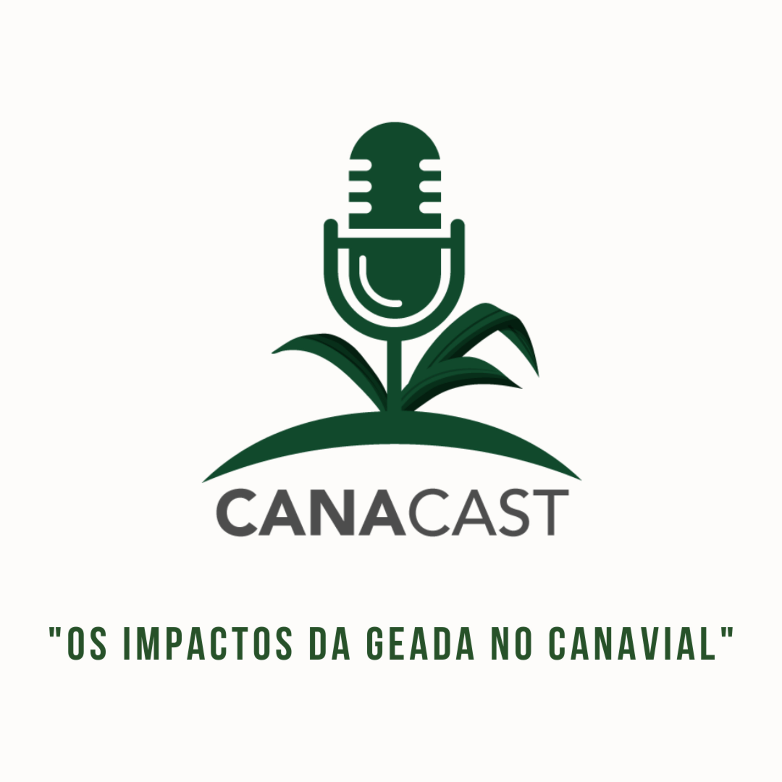 OS IMPACTOS DA GEADA NO CANAVIAL  episode artwork