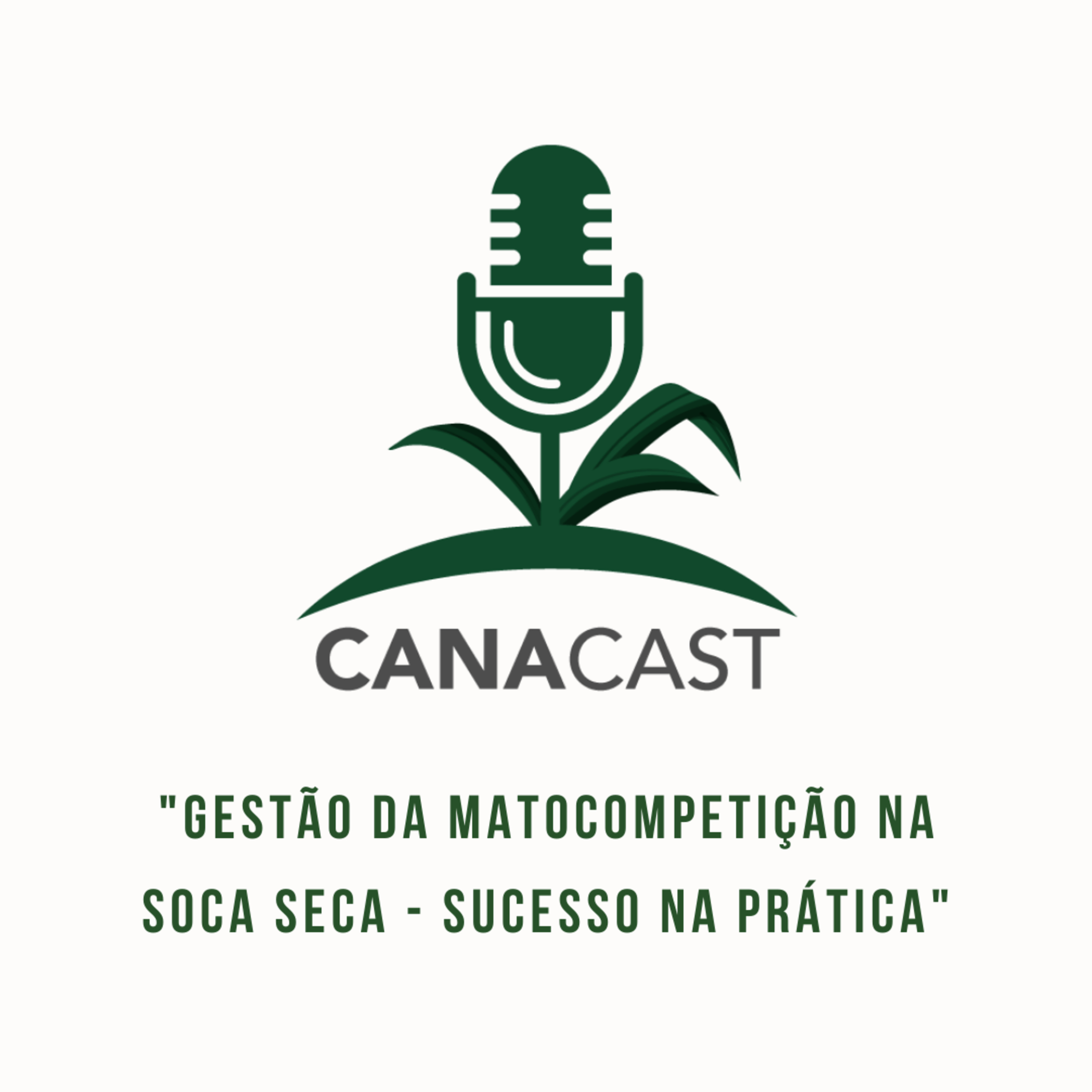 GESTÃO DA MATOCOMPETIÇÃO NA SOCA SECA - SUCESSO NA PRÁTICA episode artwork