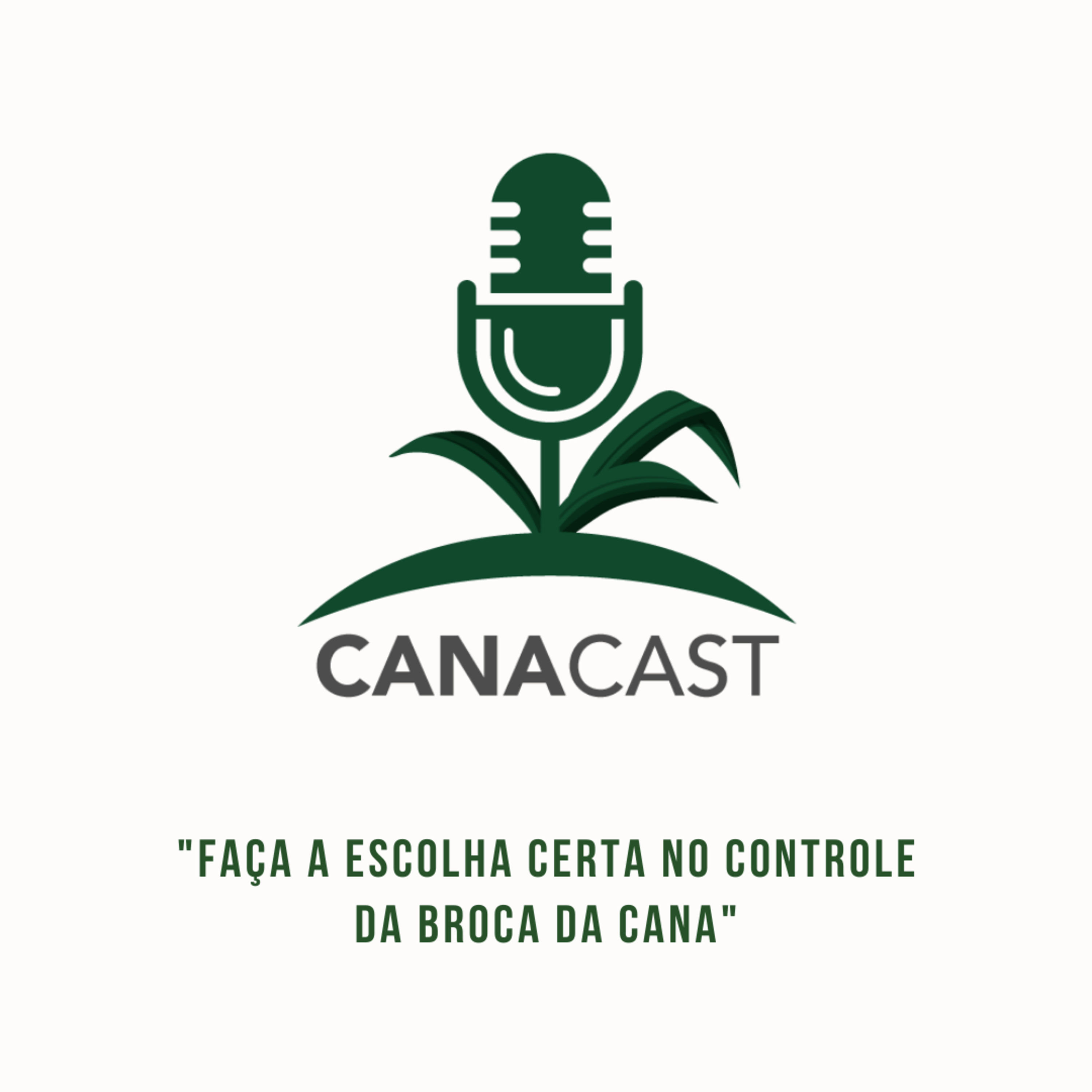 FAÇA A ESCOLHA CERTA NO CONTROLE DA BROCA DA CANA episode artwork