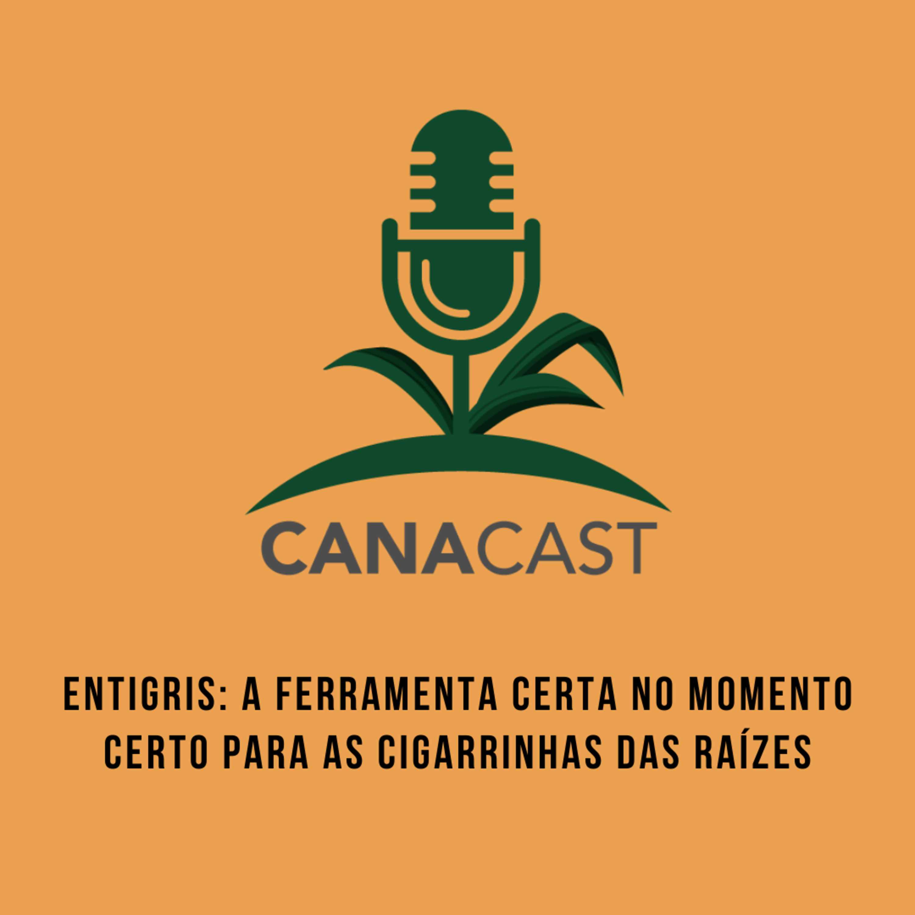 ENTIGRIS: A FERRAMENTA CERTA NO MOMENTO CERTO PARA AS CIGARRINHAS DAS RAÍZES episode artwork