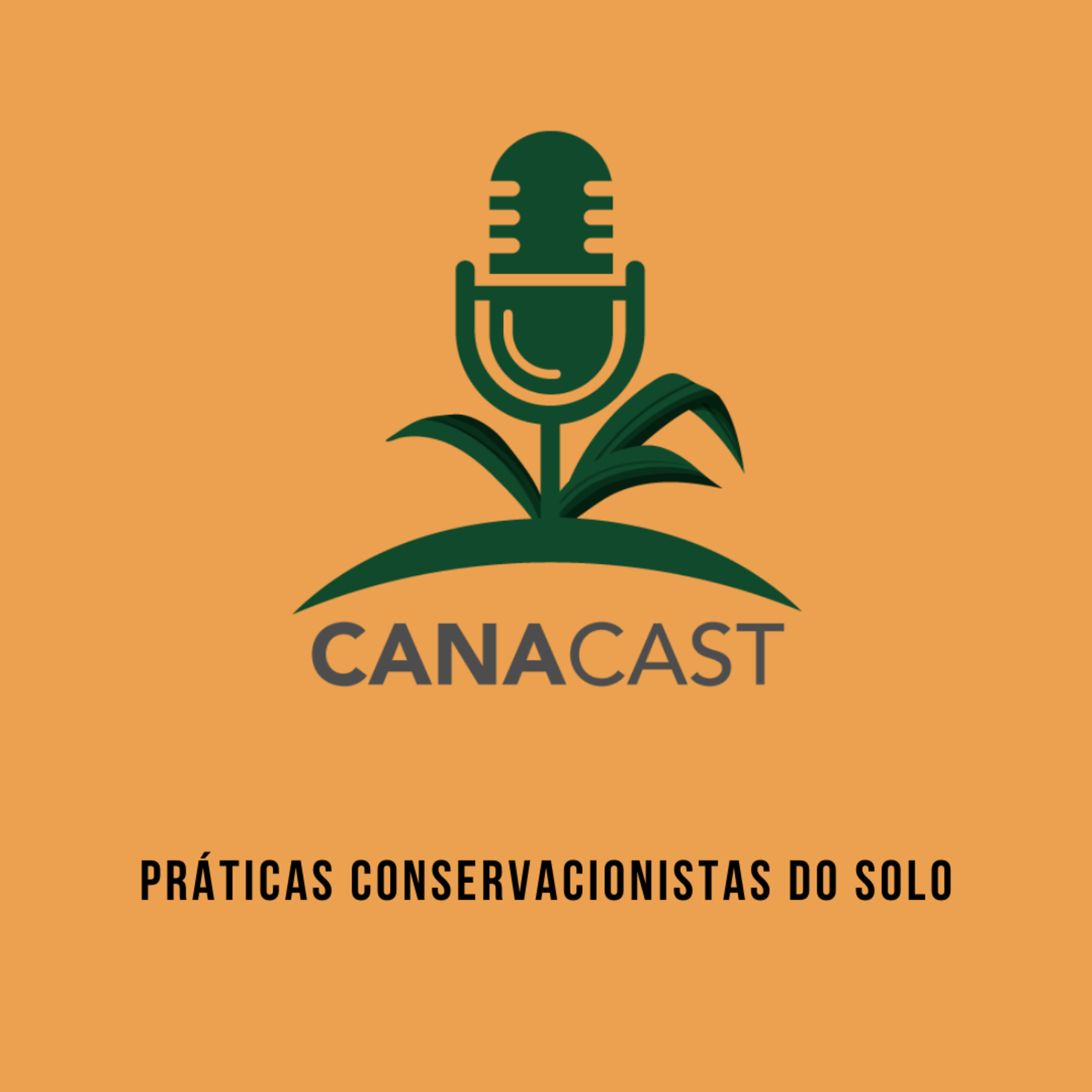 PRÁTICAS CONSERVACIONISTAS DO SOLO episode artwork