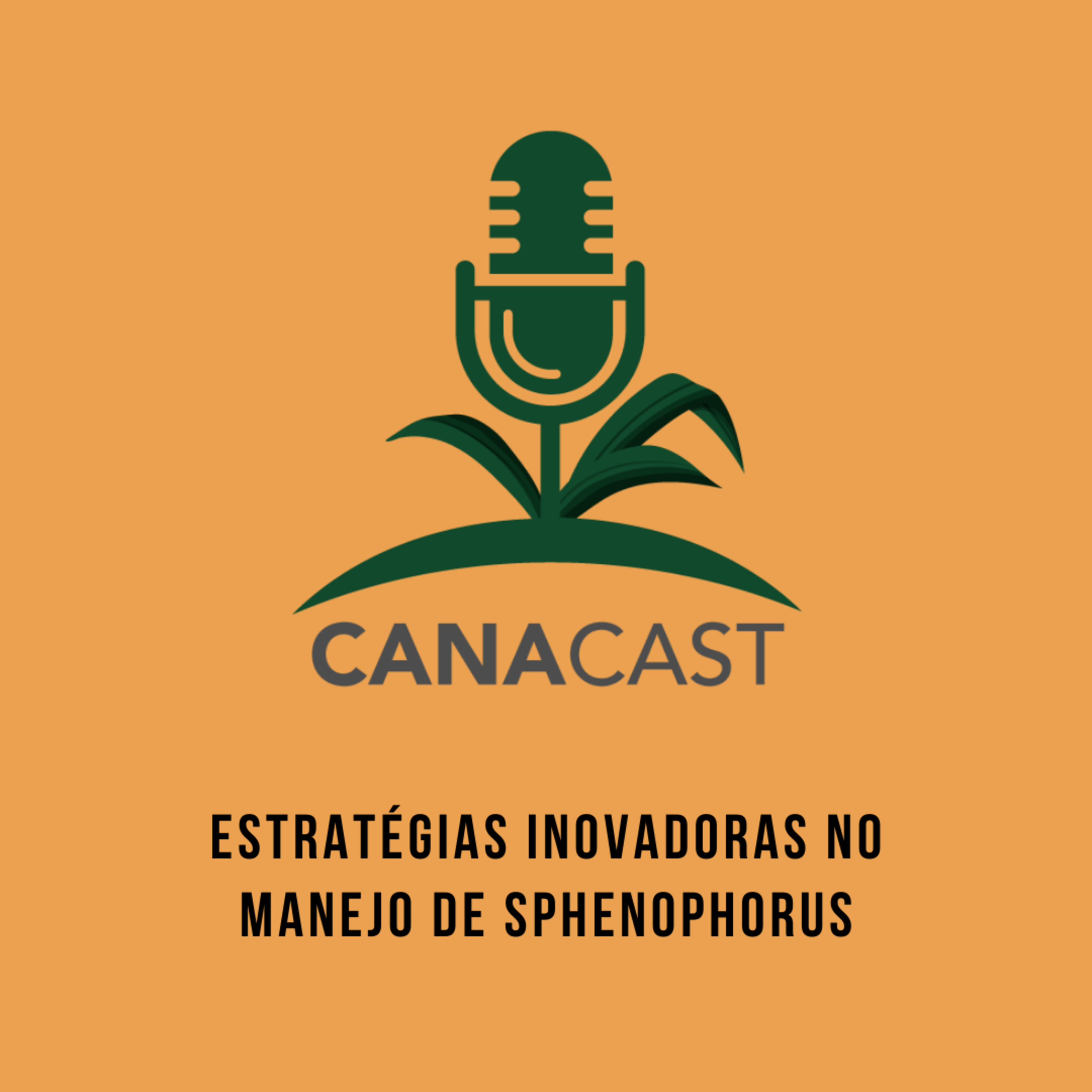 ESTRATÉGIAS INOVADORAS NO MANEJO DE SPHENOPHORUS episode artwork