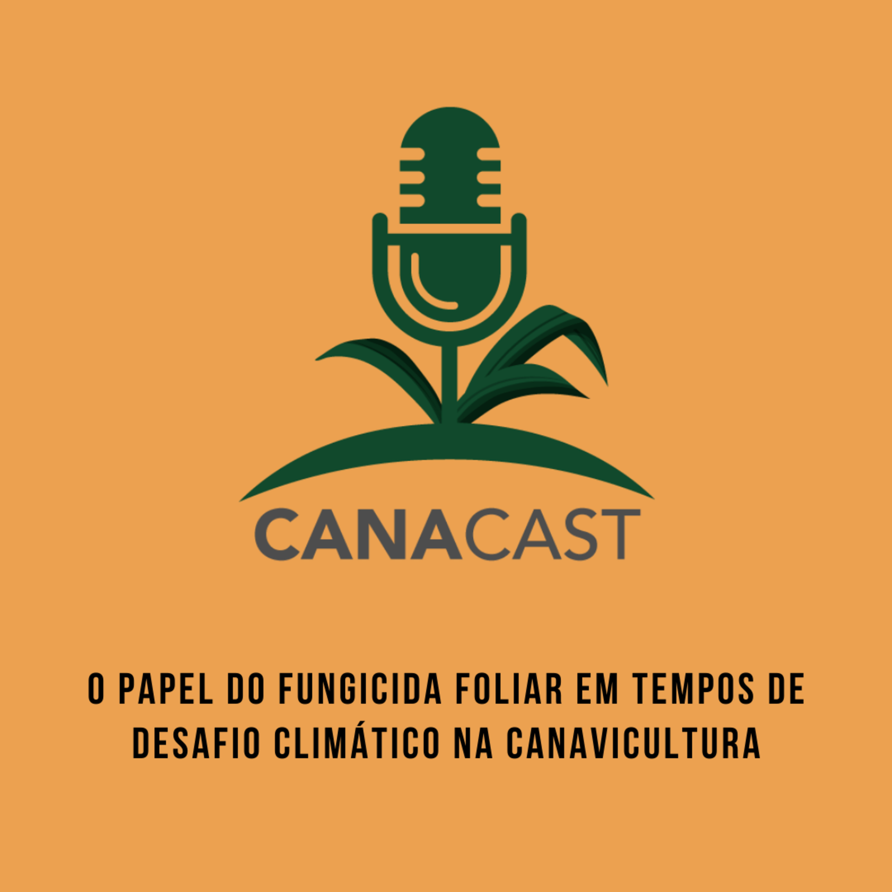 O PAPEL DO FUNGICIDA FOLIAR EM TEMPOS DE DESAFIO CLIMÁTICO NA CANAVICULTURA episode artwork