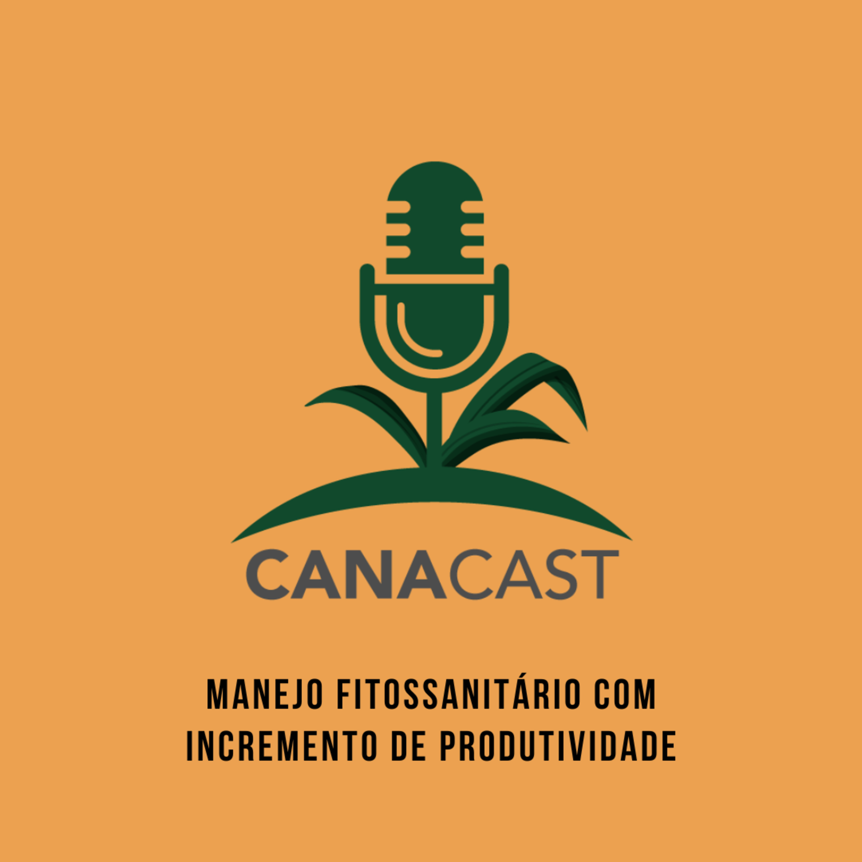 MANEJO FITOSSANITÁRIO COM INCREMENTO DE PRODUTIVIDADE episode artwork