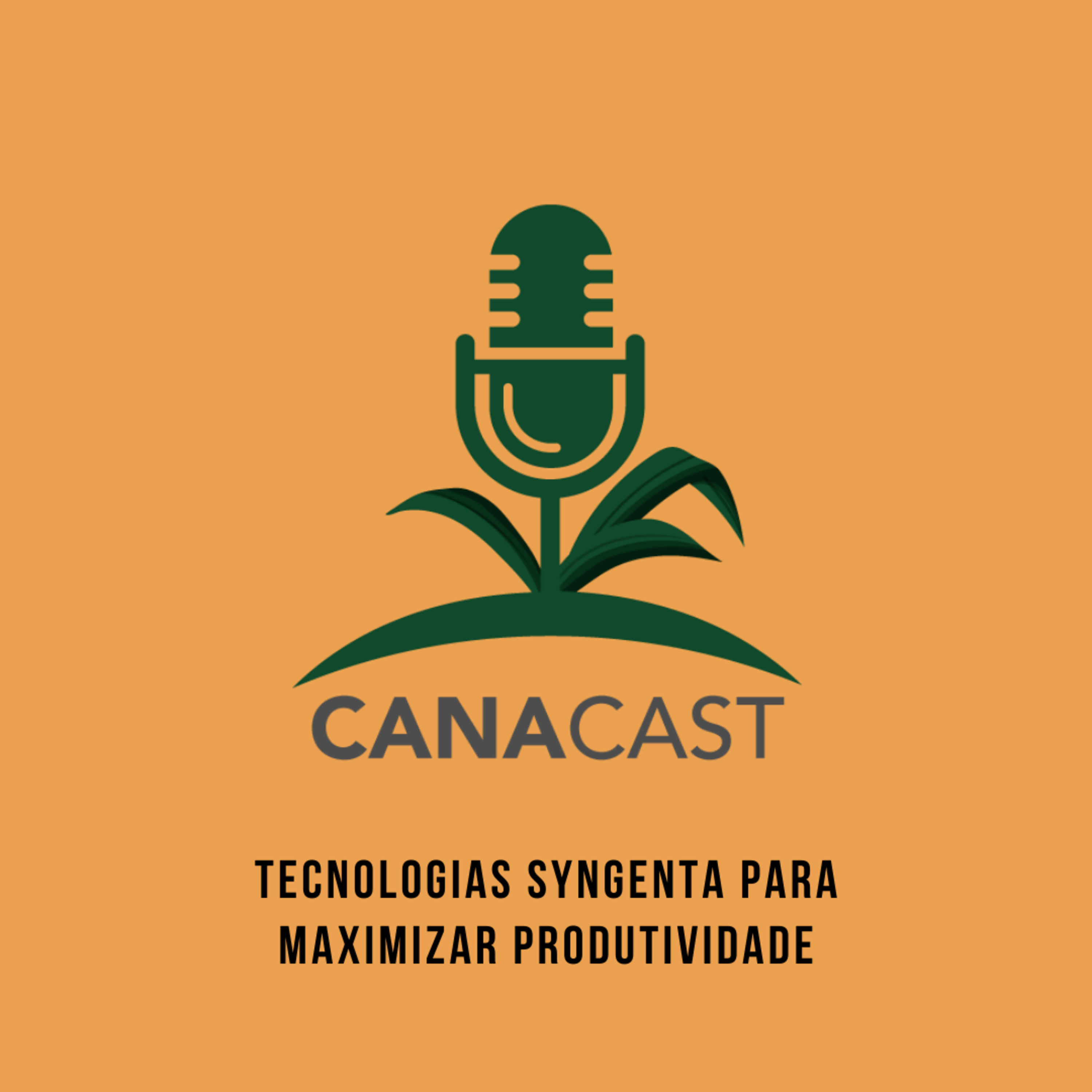 TECNOLOGIAS SYNGENTA PARA MAXIMIZAR A PRODUTIVIDADE episode artwork