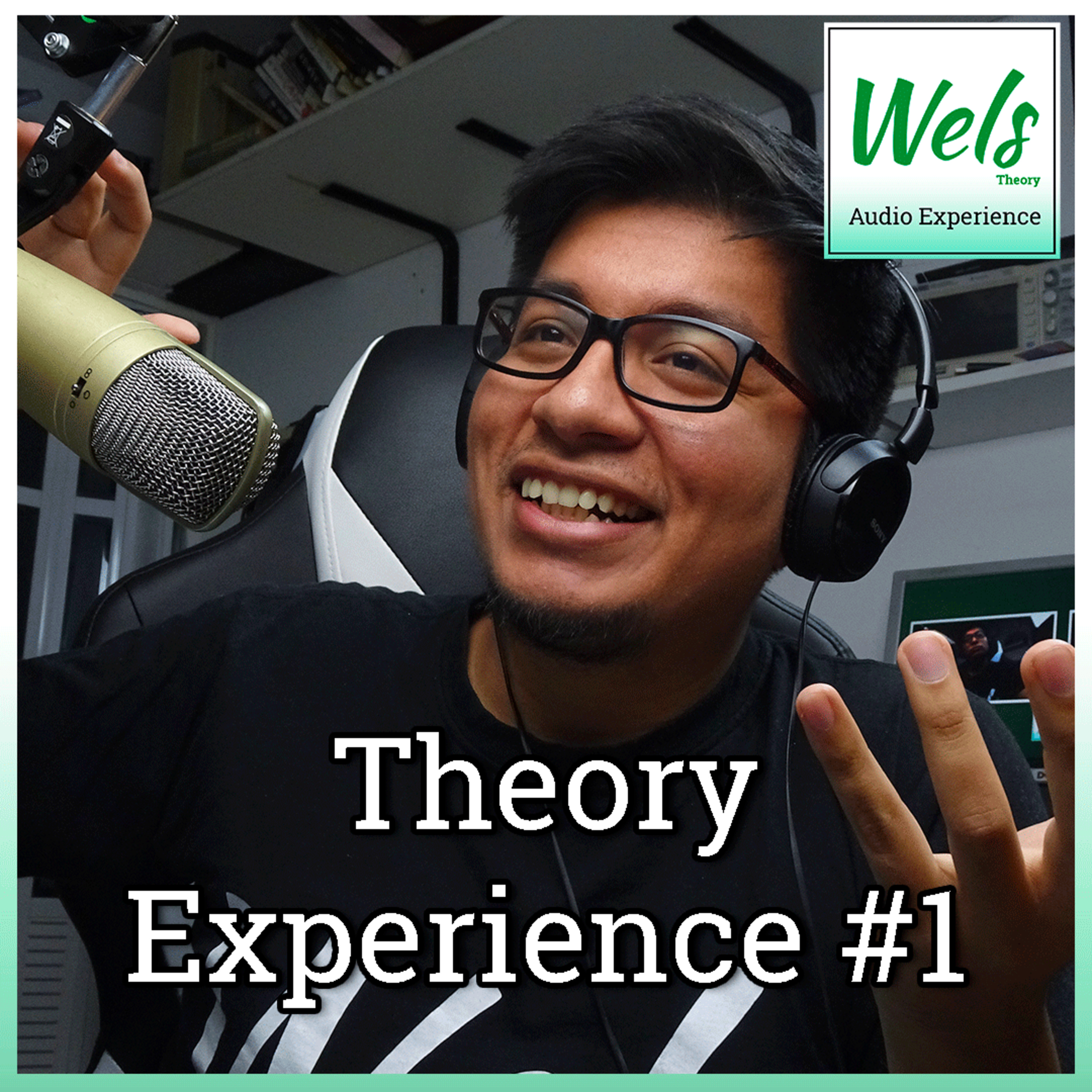 Portada de Wels Theory - Audio Experience