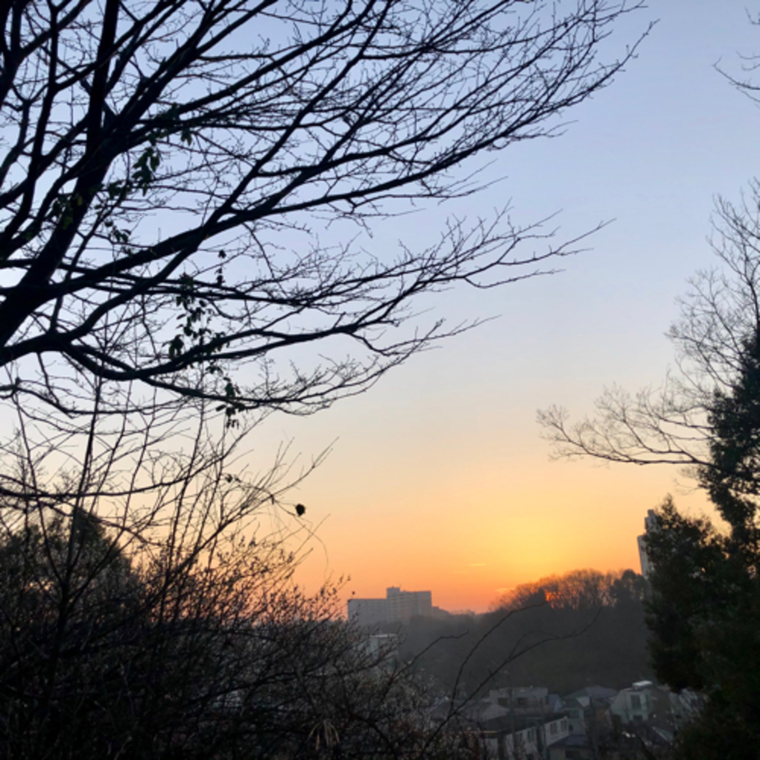 #43早朝の公園