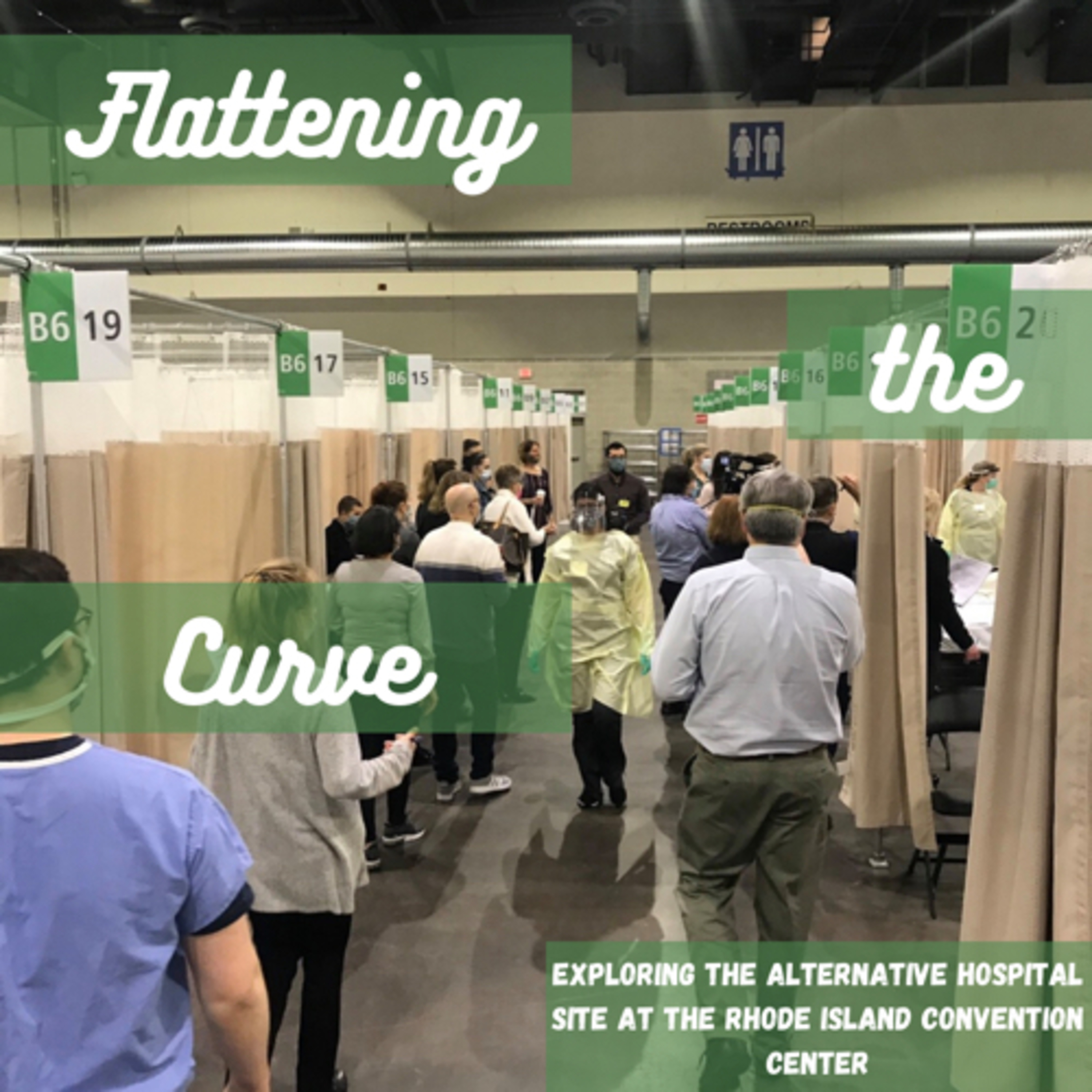 Flattening the Curve episode artwork