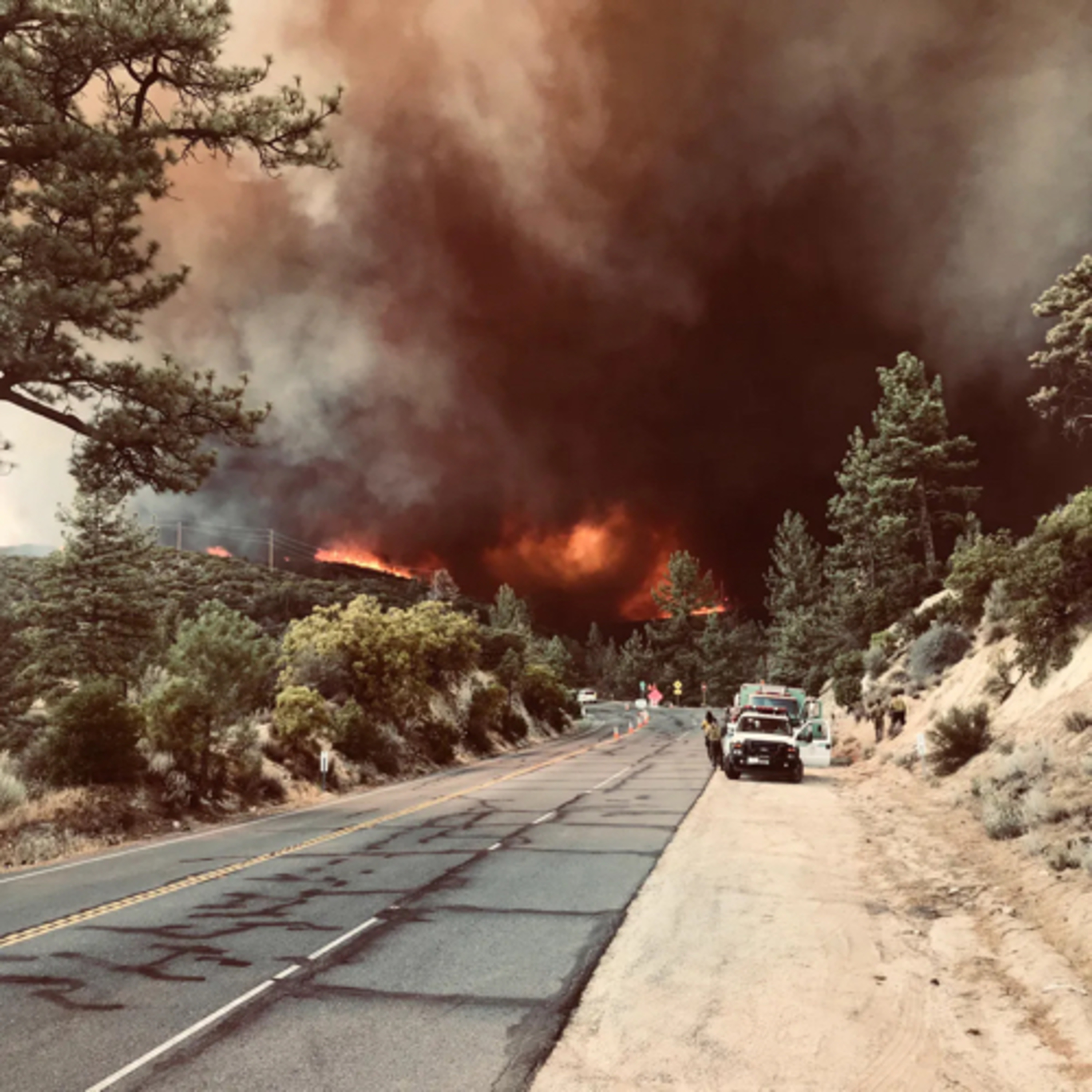 Unnatural Disasters  episode artwork