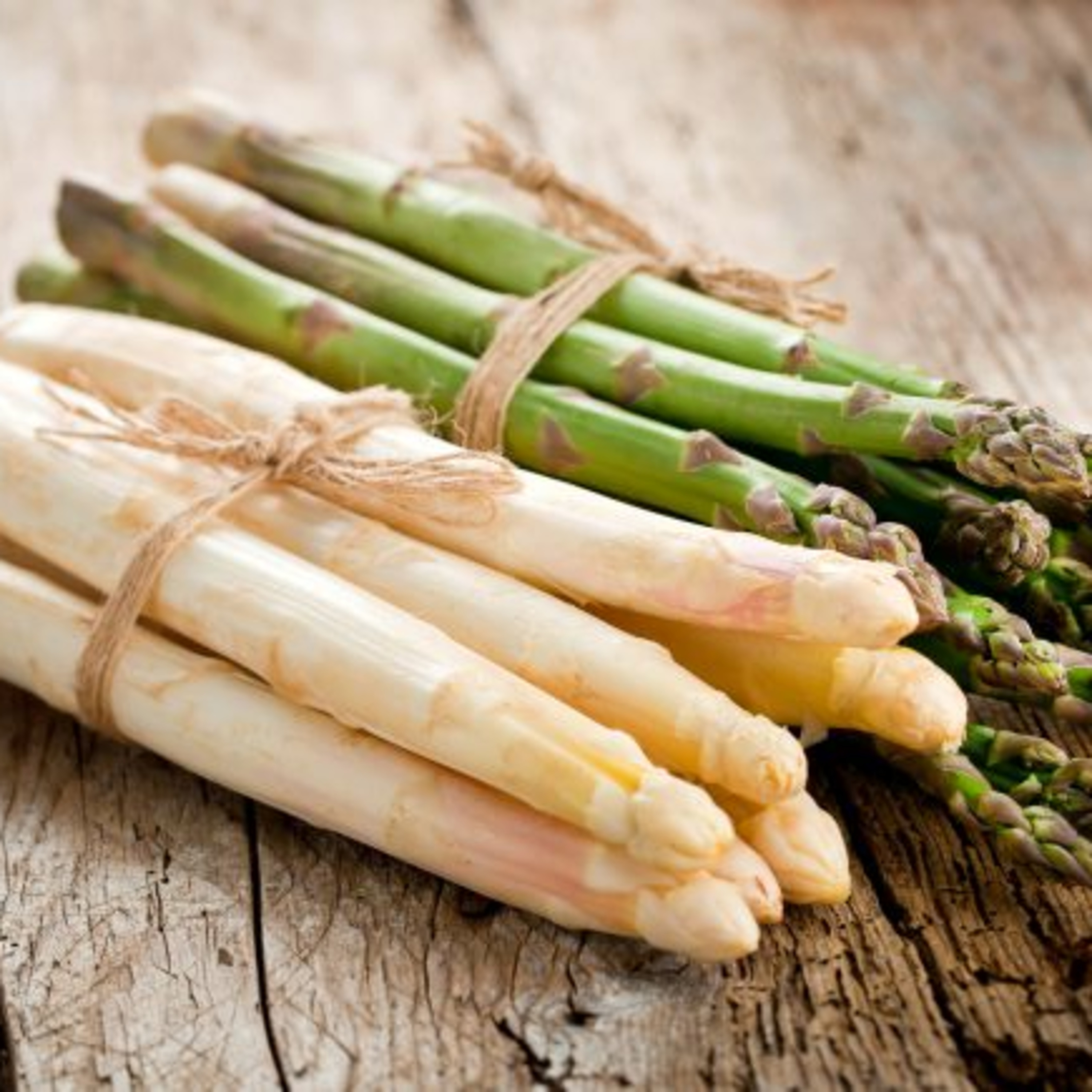 #17: 德國人深愛的皇家蔬菜--白蘆筍//White Asparagus: Germany's Underground King of Vegetables