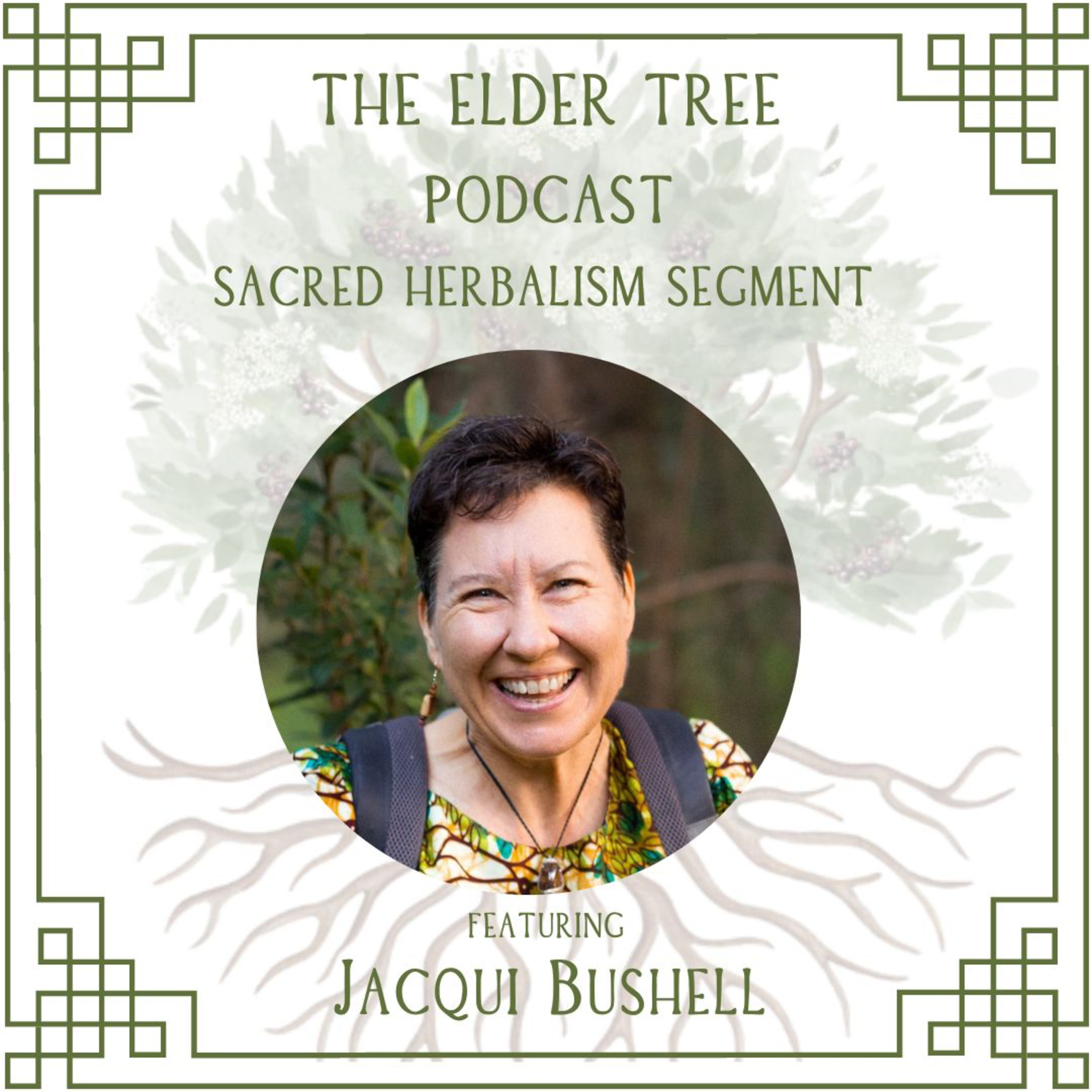 11. Listening with the Mythic Imagination: Jacqui Bushell on Sacred Herbalism episode artwork