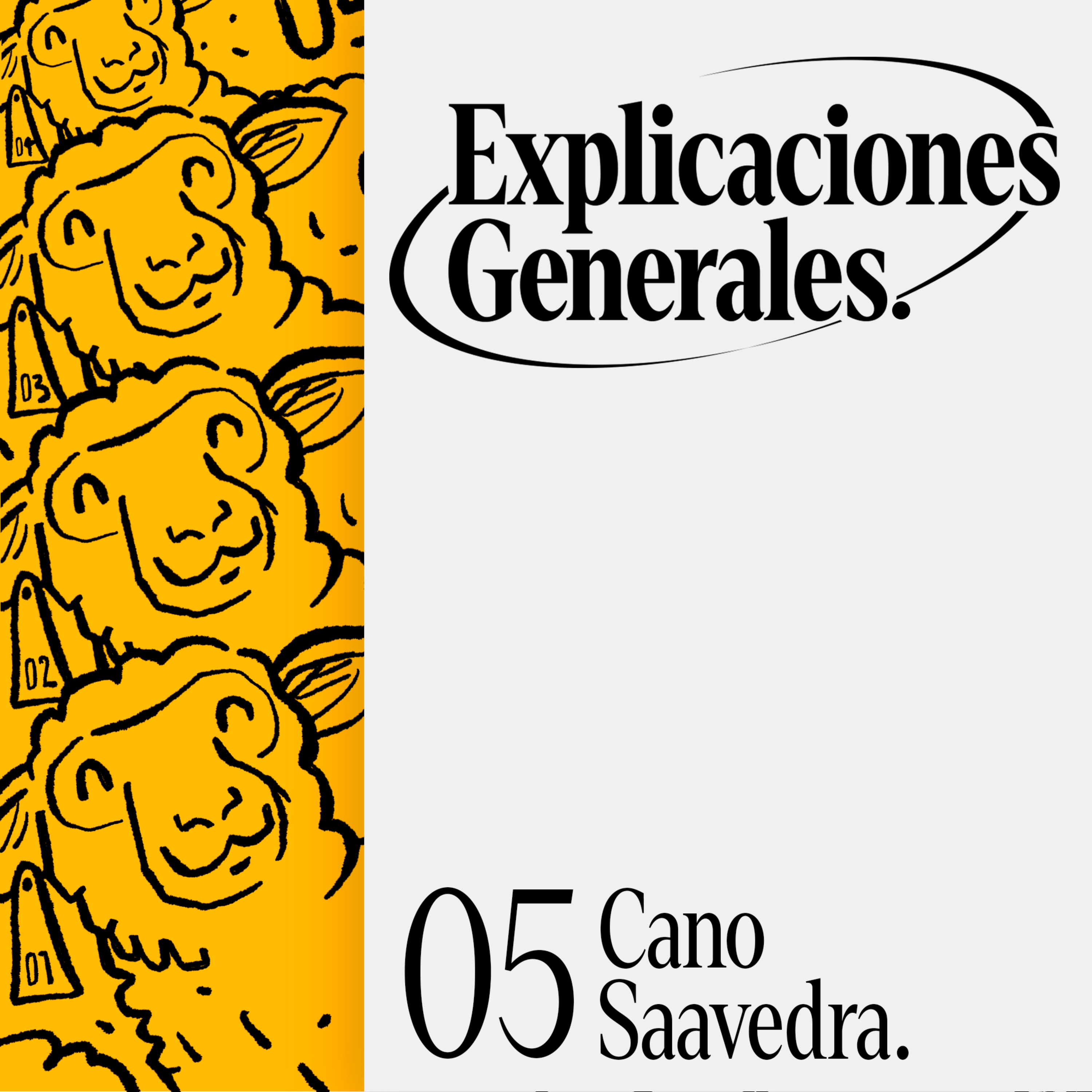 Explicaciones Generales