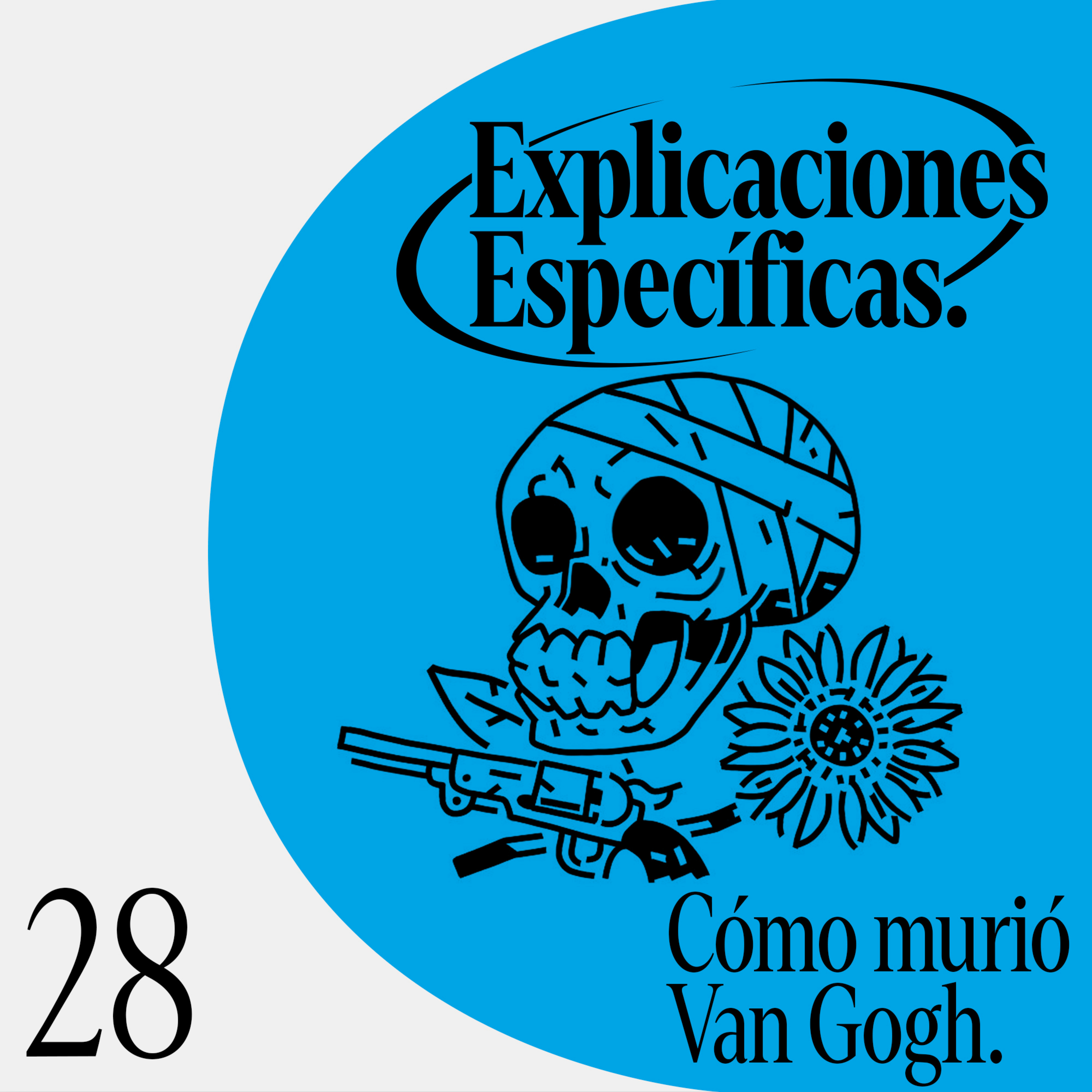 Explicaciones Generales