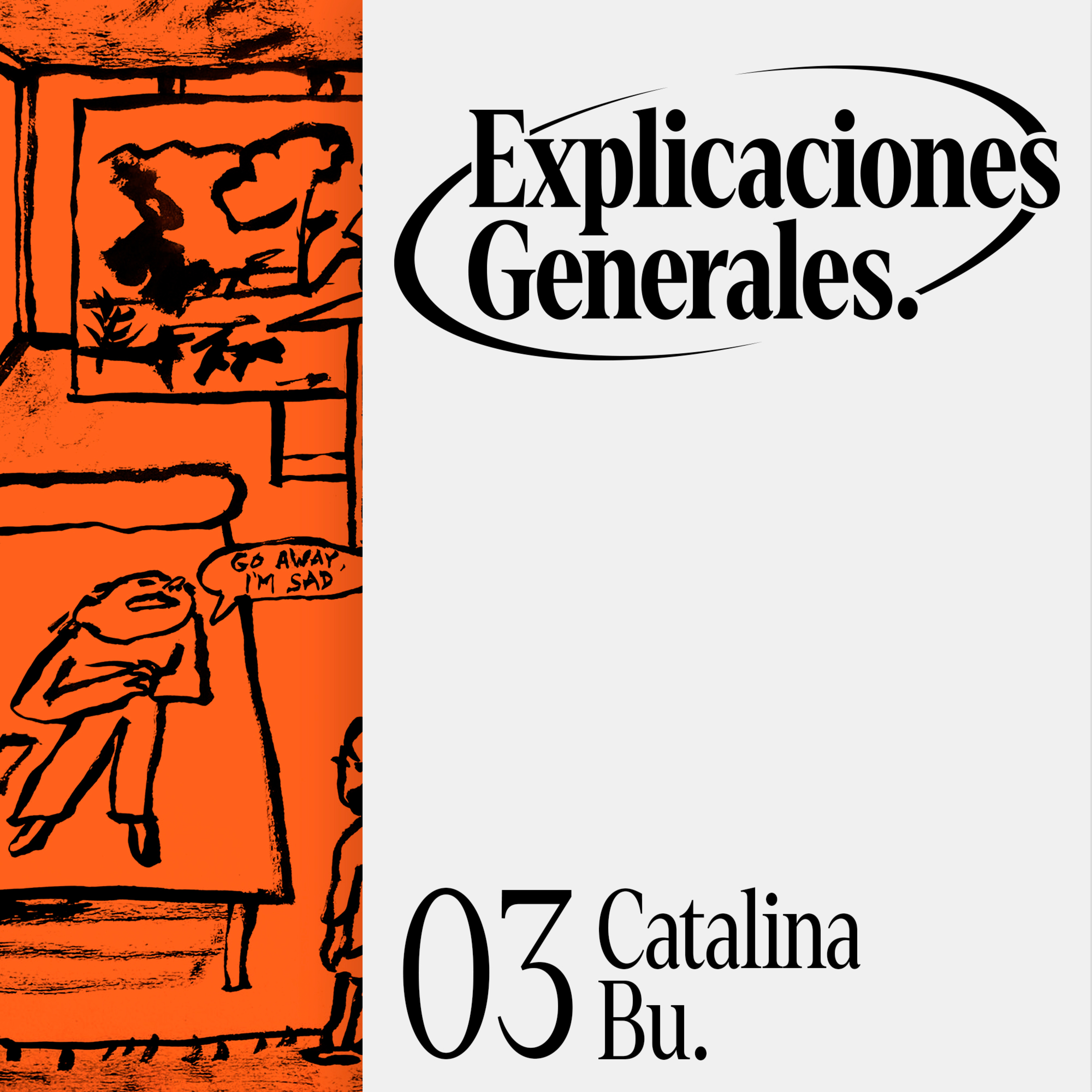 Explicaciones Generales