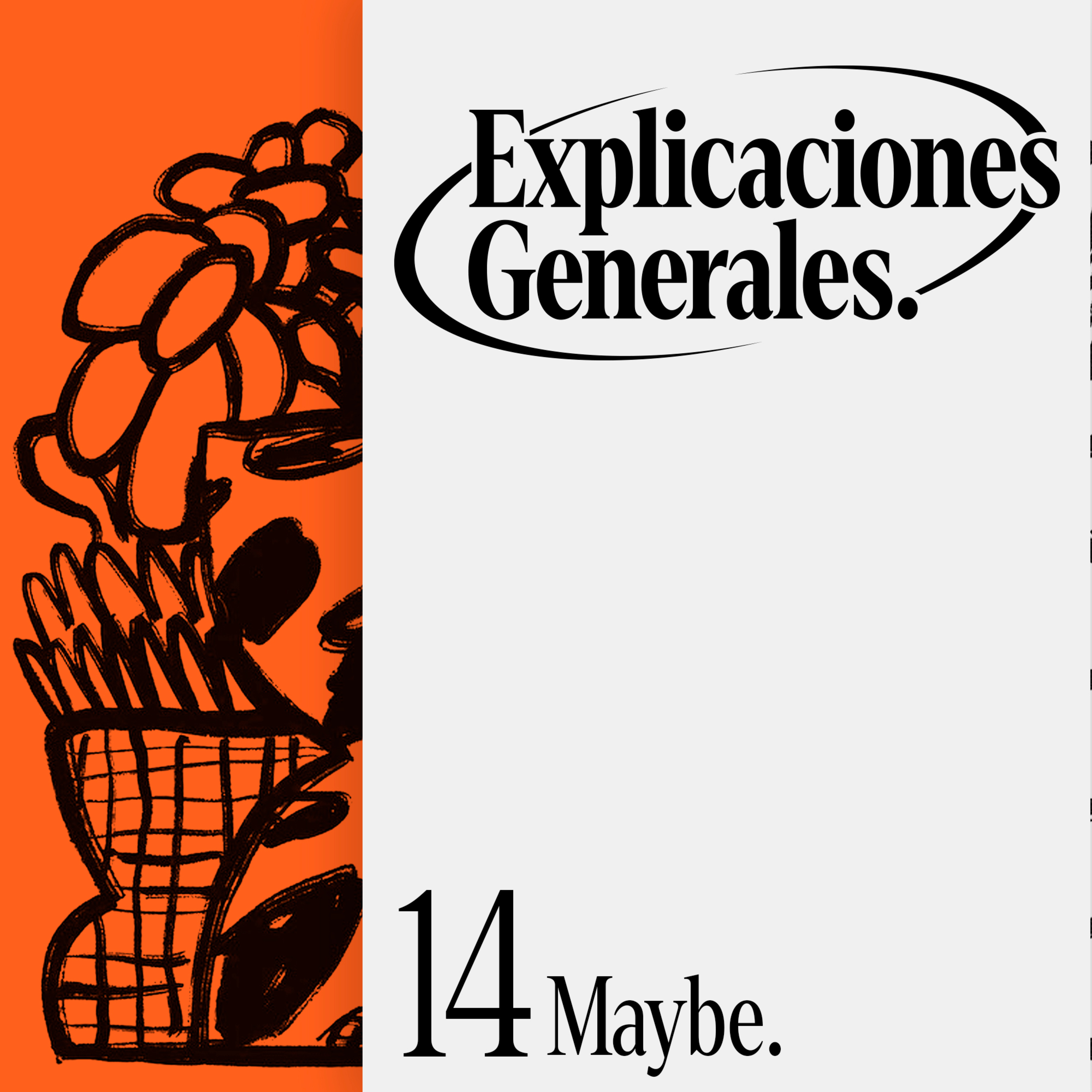 Explicaciones Generales