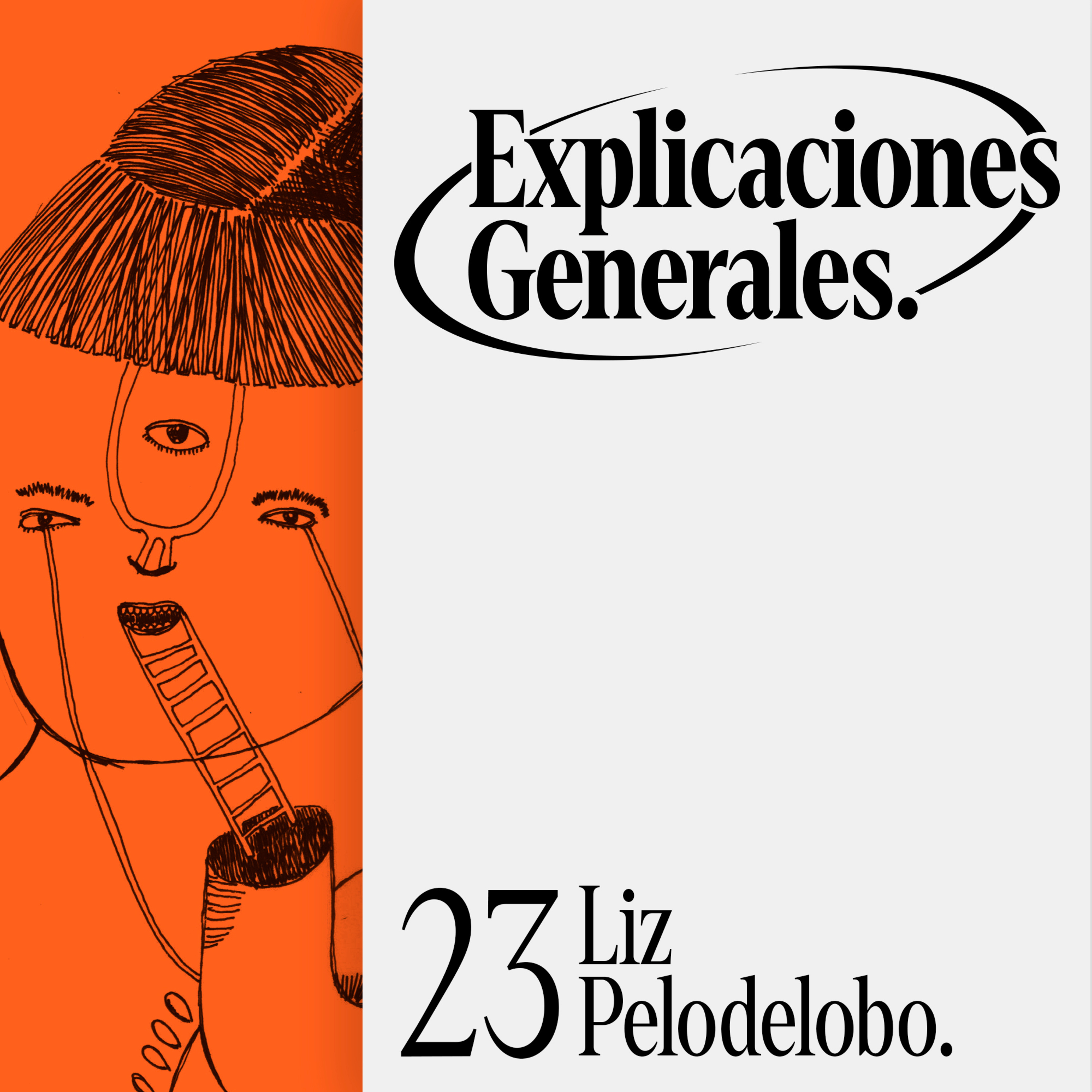Explicaciones Generales