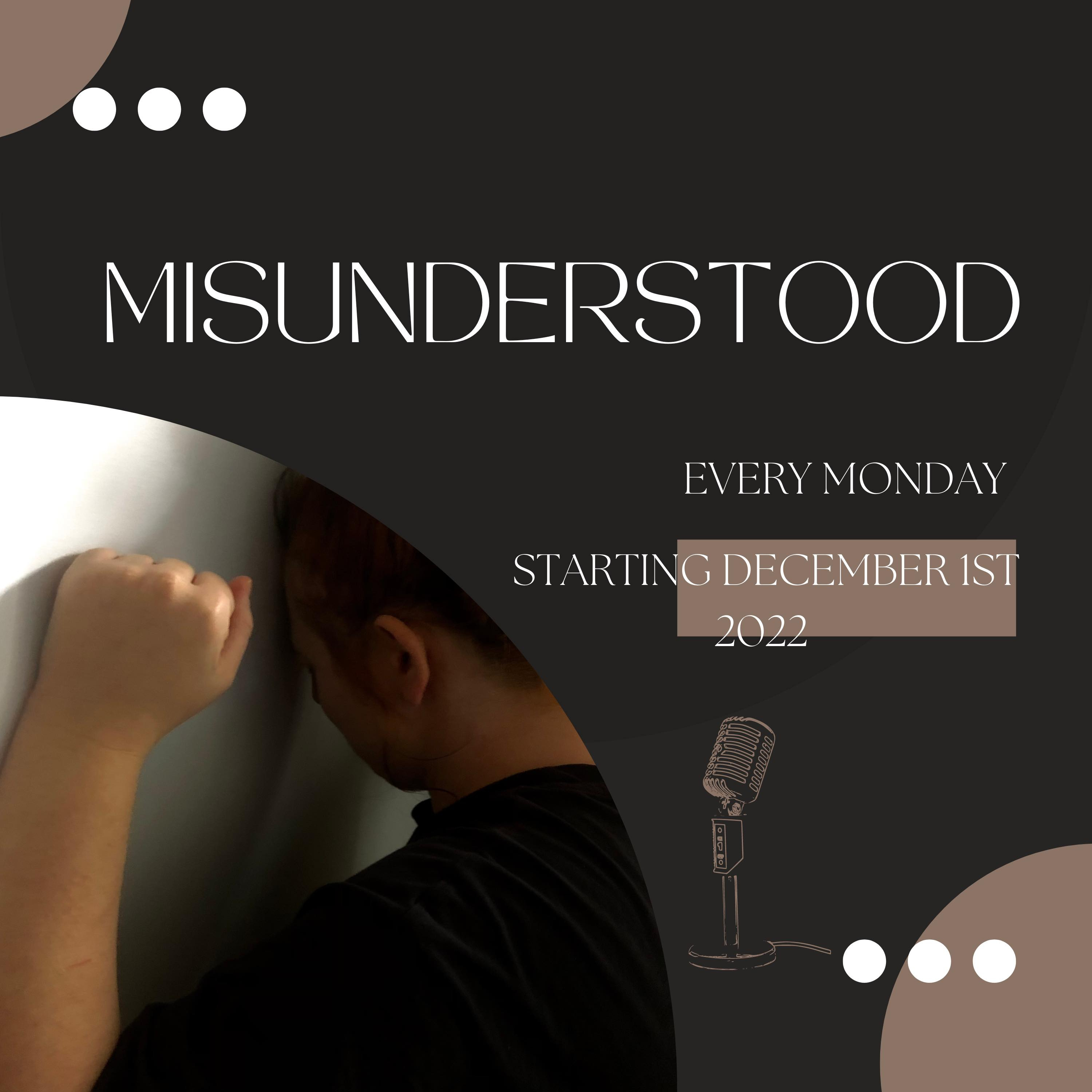 Misunderstood ( Introduction ) episode artwork