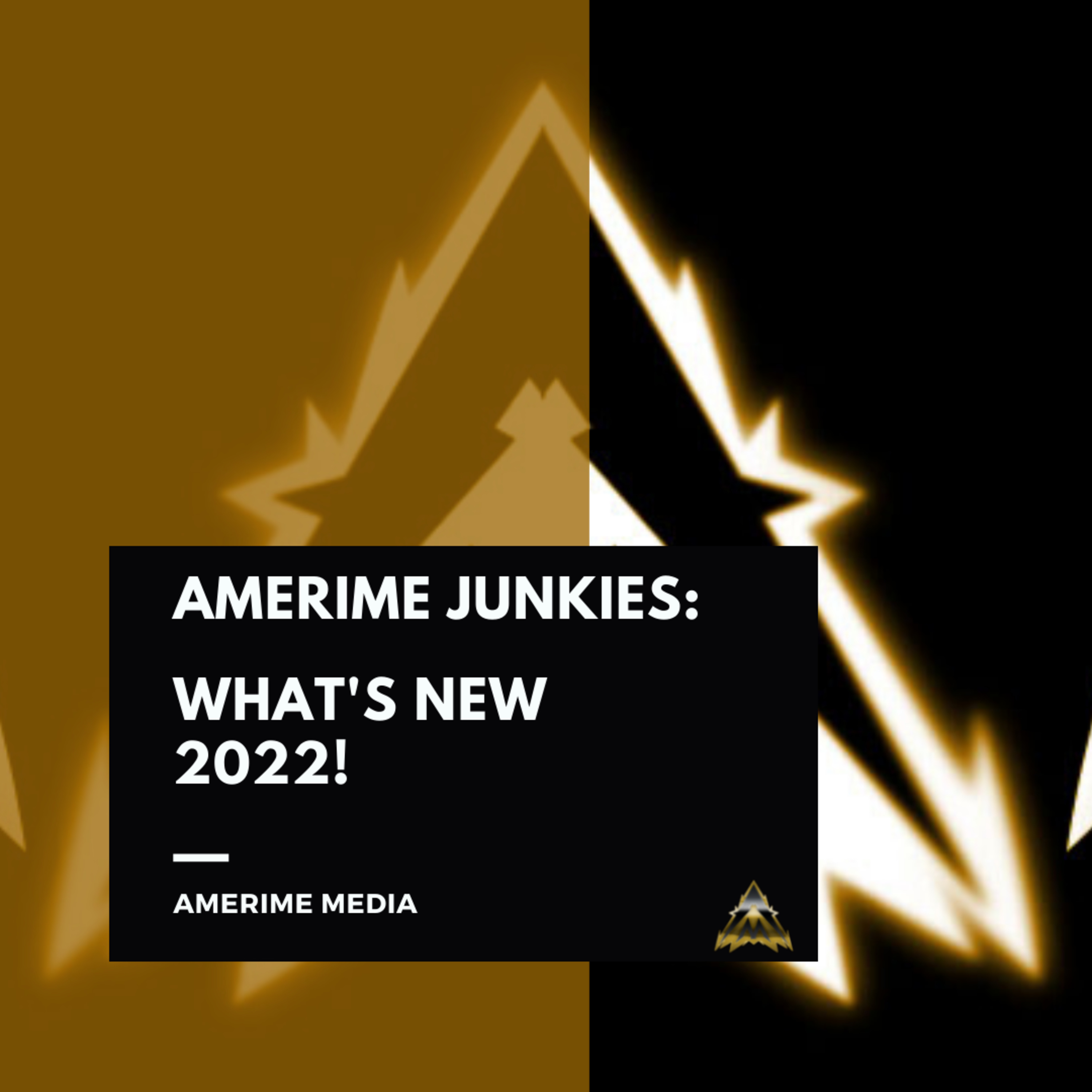 Amerime Junkies