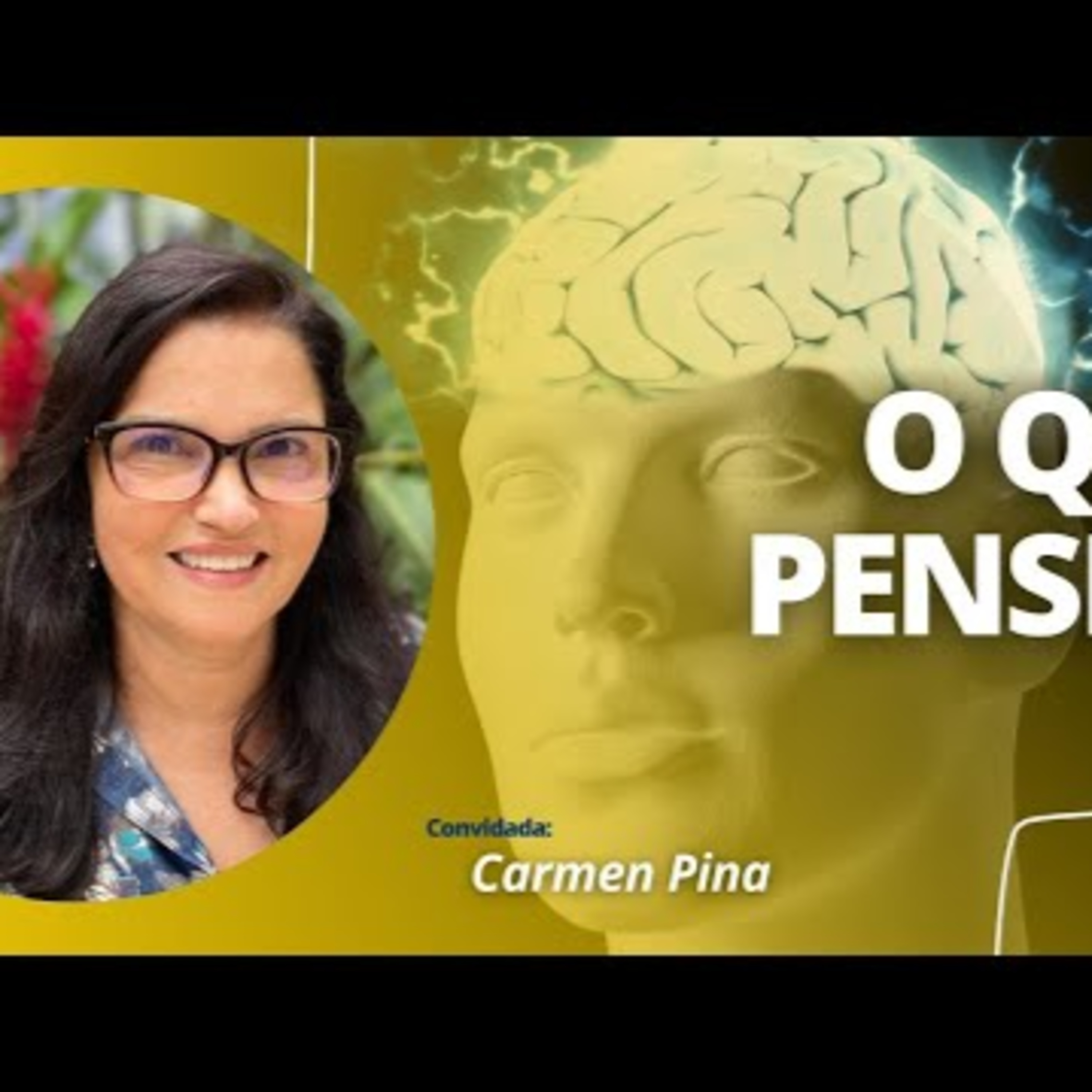 Painel Evolutivo EP93-O que é pensene? episode artwork