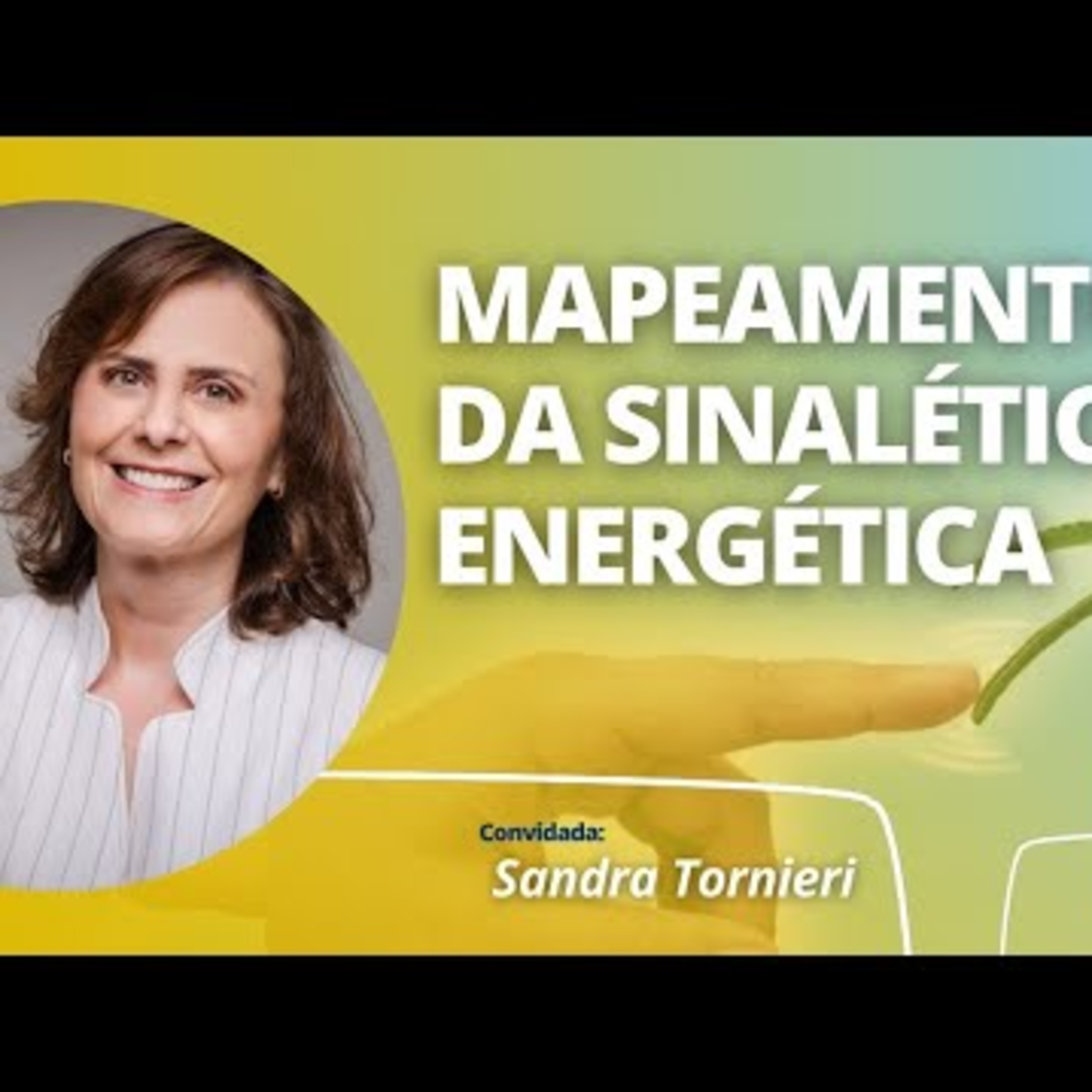 Painel Evolutivo EP97- Mapeamento da Sinalética Energética episode artwork